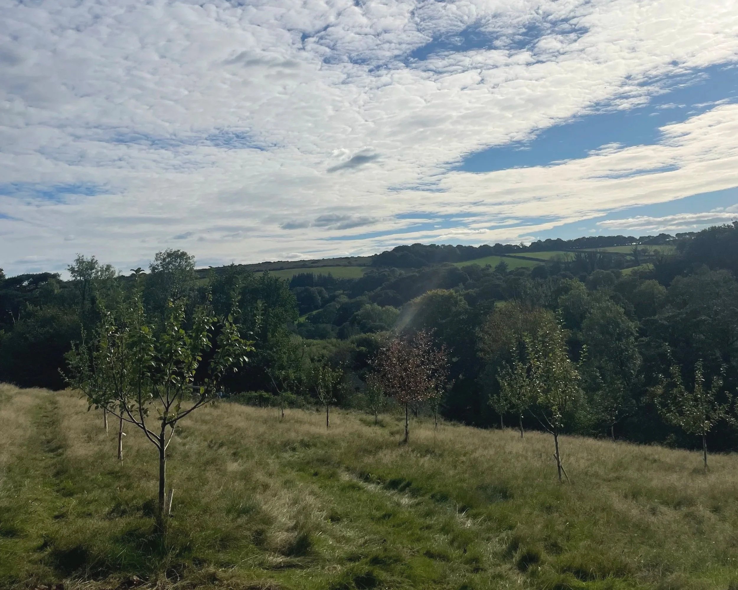 A landscape view of a countryside with rolling hills, green trees, and sparse clouds in the sky.
