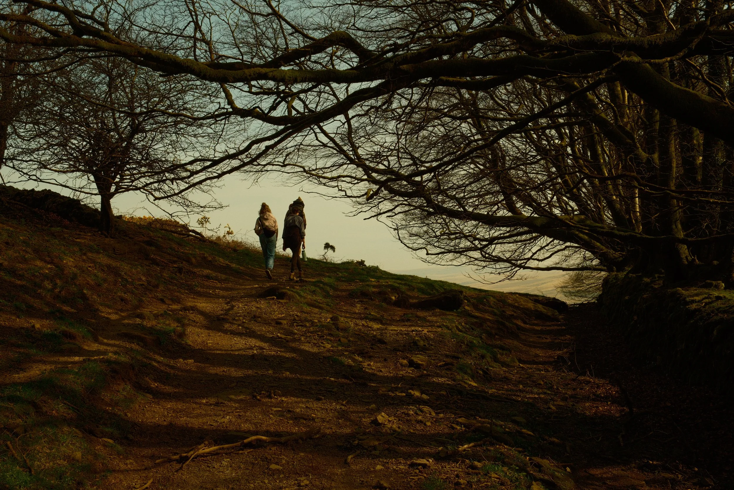 Two people walking on a dirt path through a wooded area with leafless trees, during what appears to be late fall or winter, with a cloudy sky in the background.