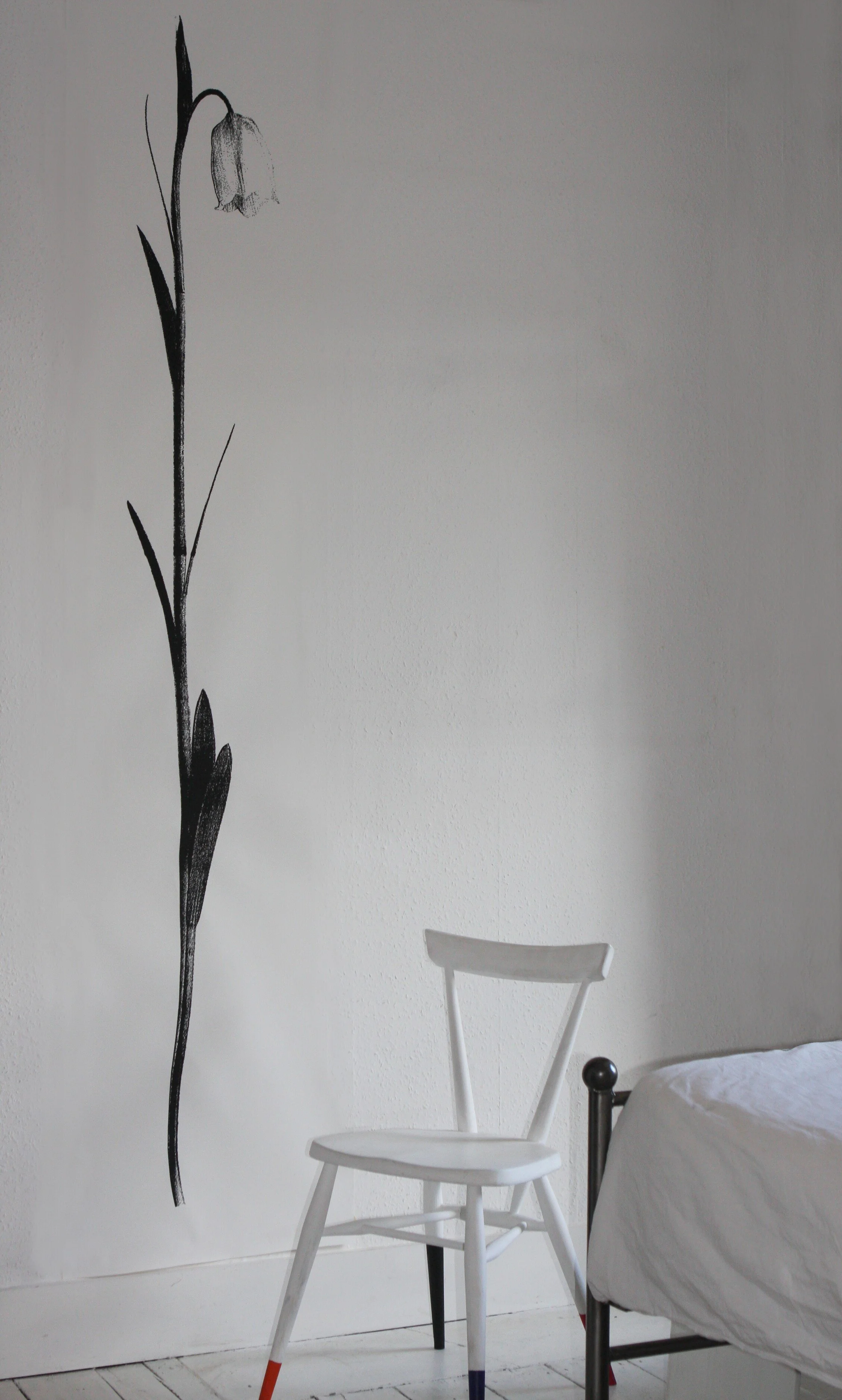 harebell-light-tracy-kendall-fddf7bd2c3cb21ebf35b7d1f08ddf1ef.jpg