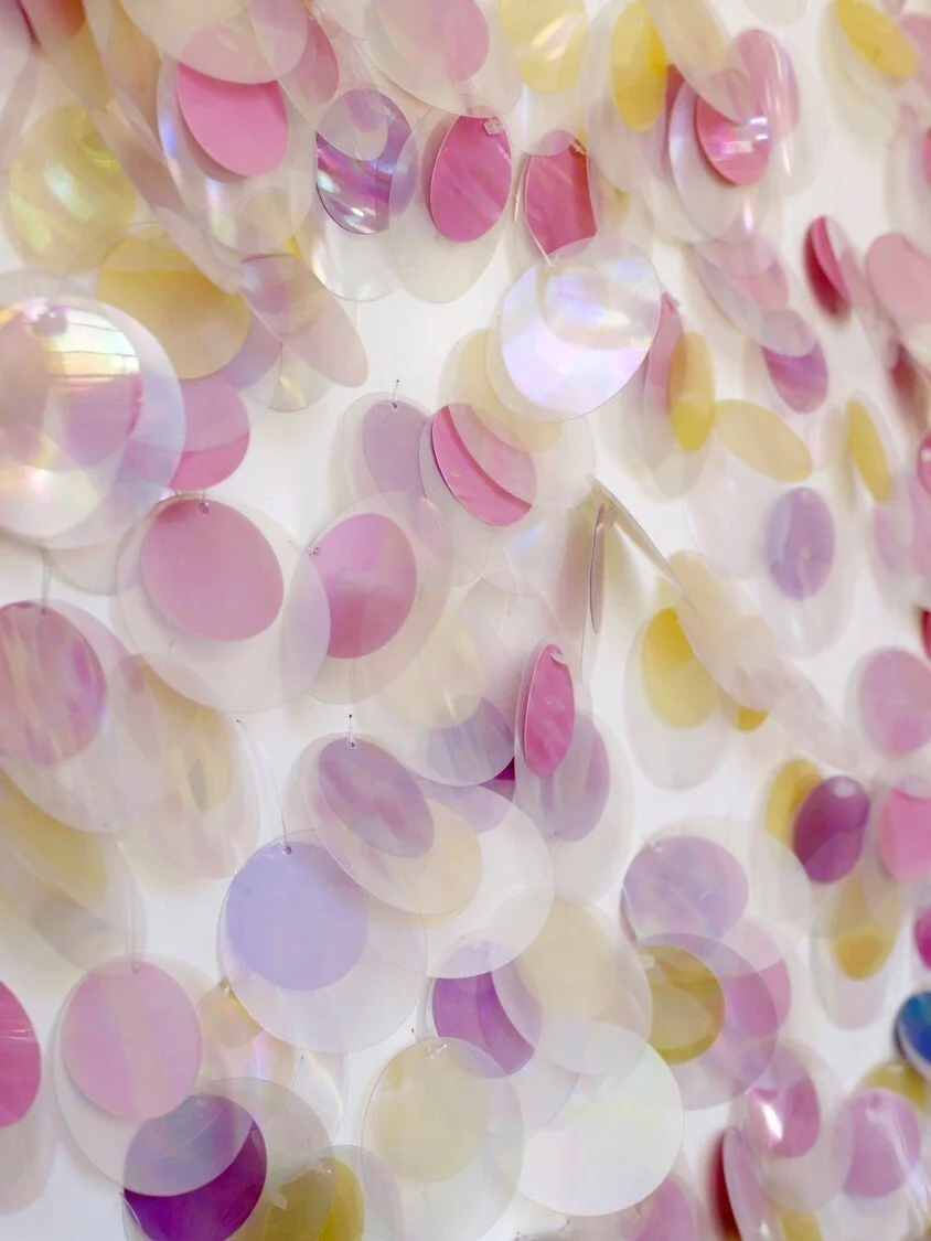 Sequins-(2)-22634f949c76c95a8884031fdb5829bb.jpg