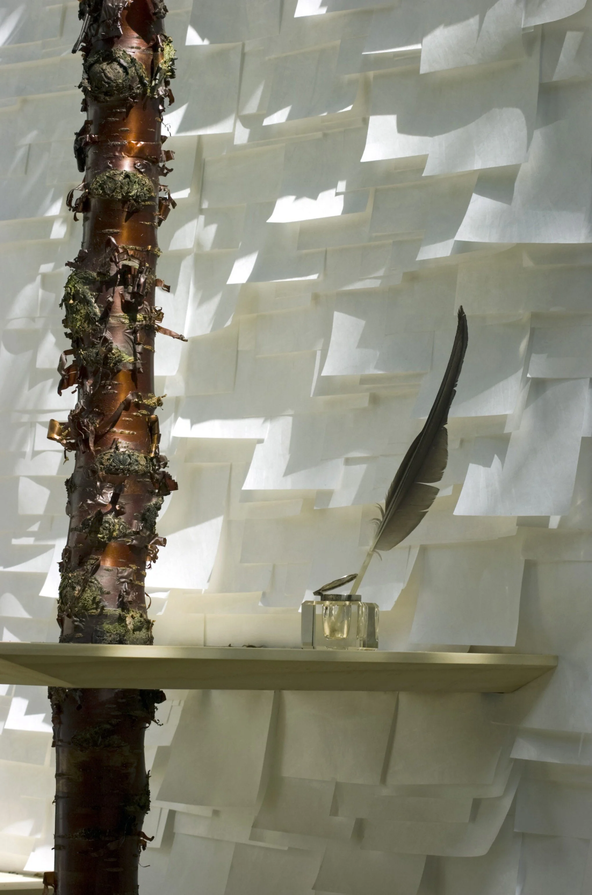 Outdoor Wallpaper