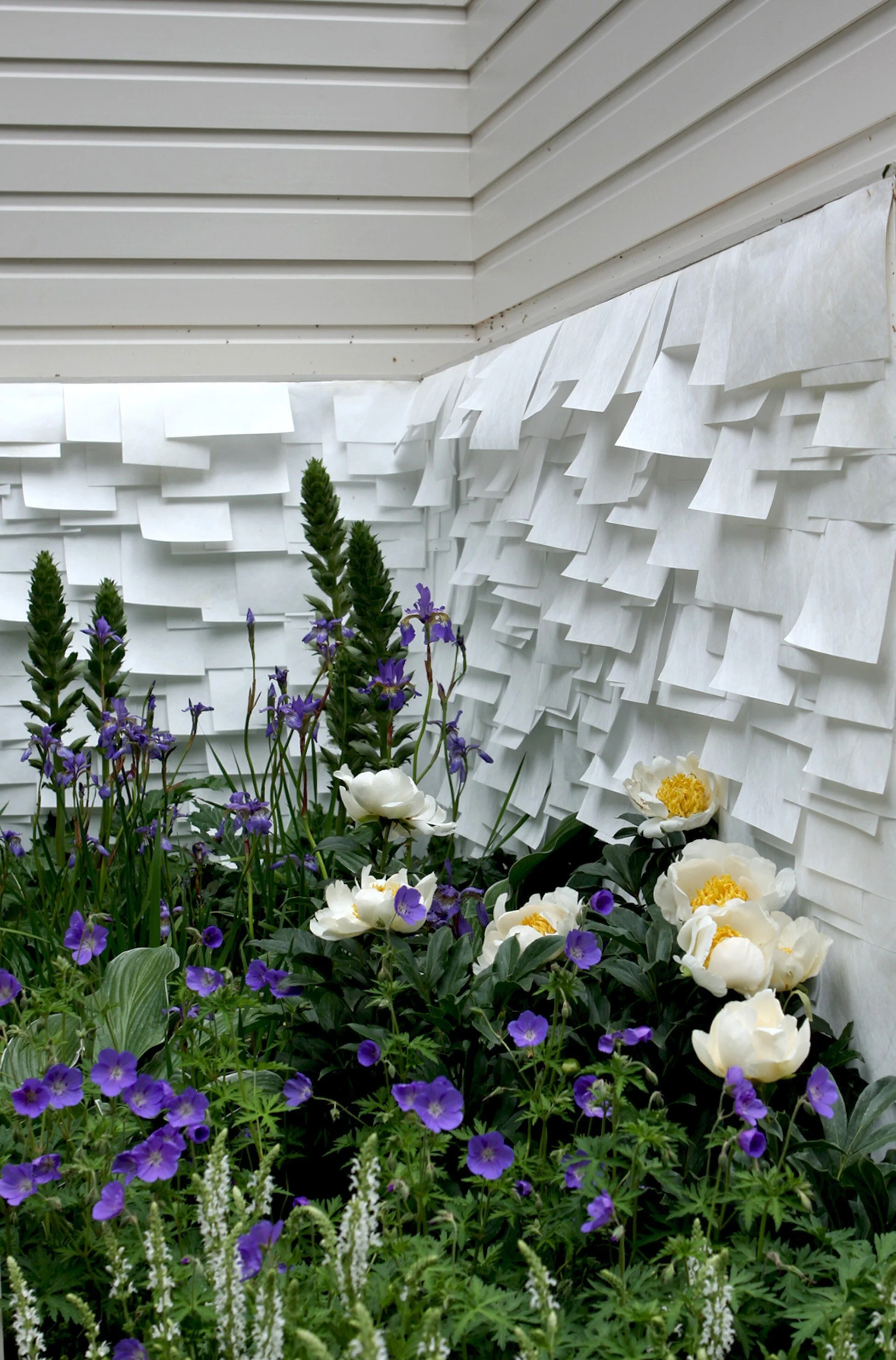 Outdoor-Wallpaper-4-72097cc3f46e128e4446b47fd9289084.jpg