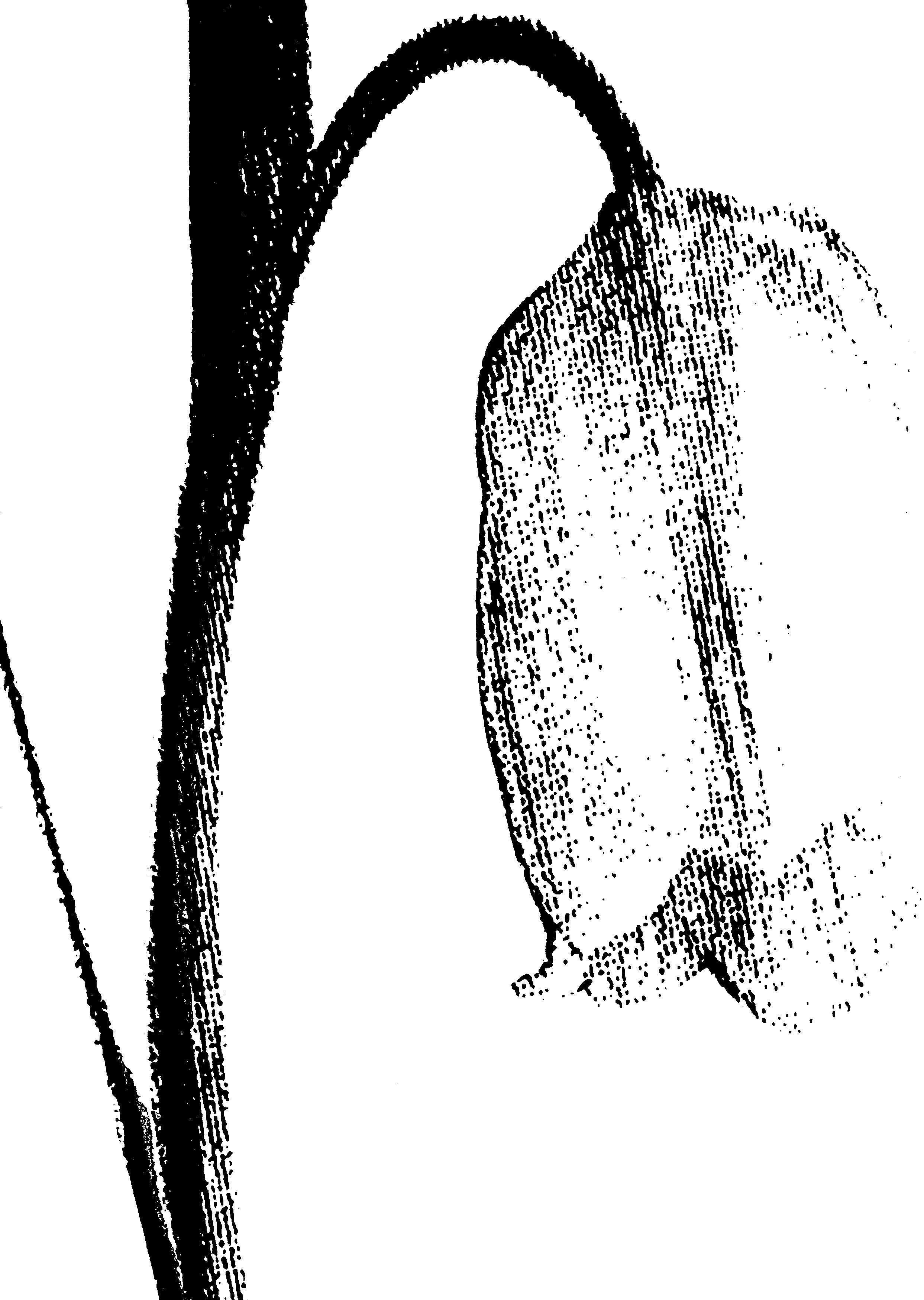 Light-Harebell-(300-PNG)-9afd1cde97f9bb5140386abafd5a874f.png