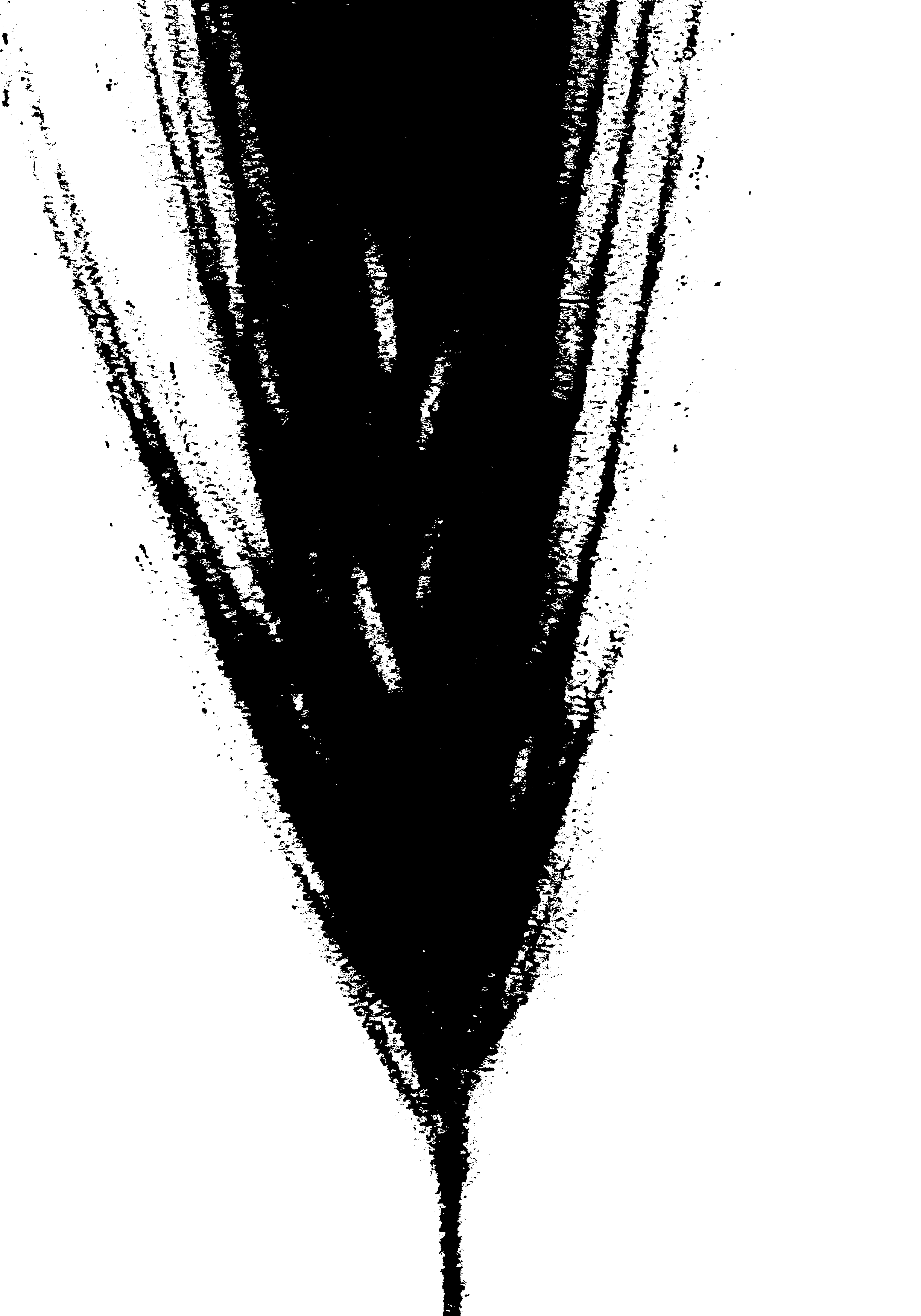 Grass-(300-PNG)-6deb68702b521e1a3c5652fde2757ded.png