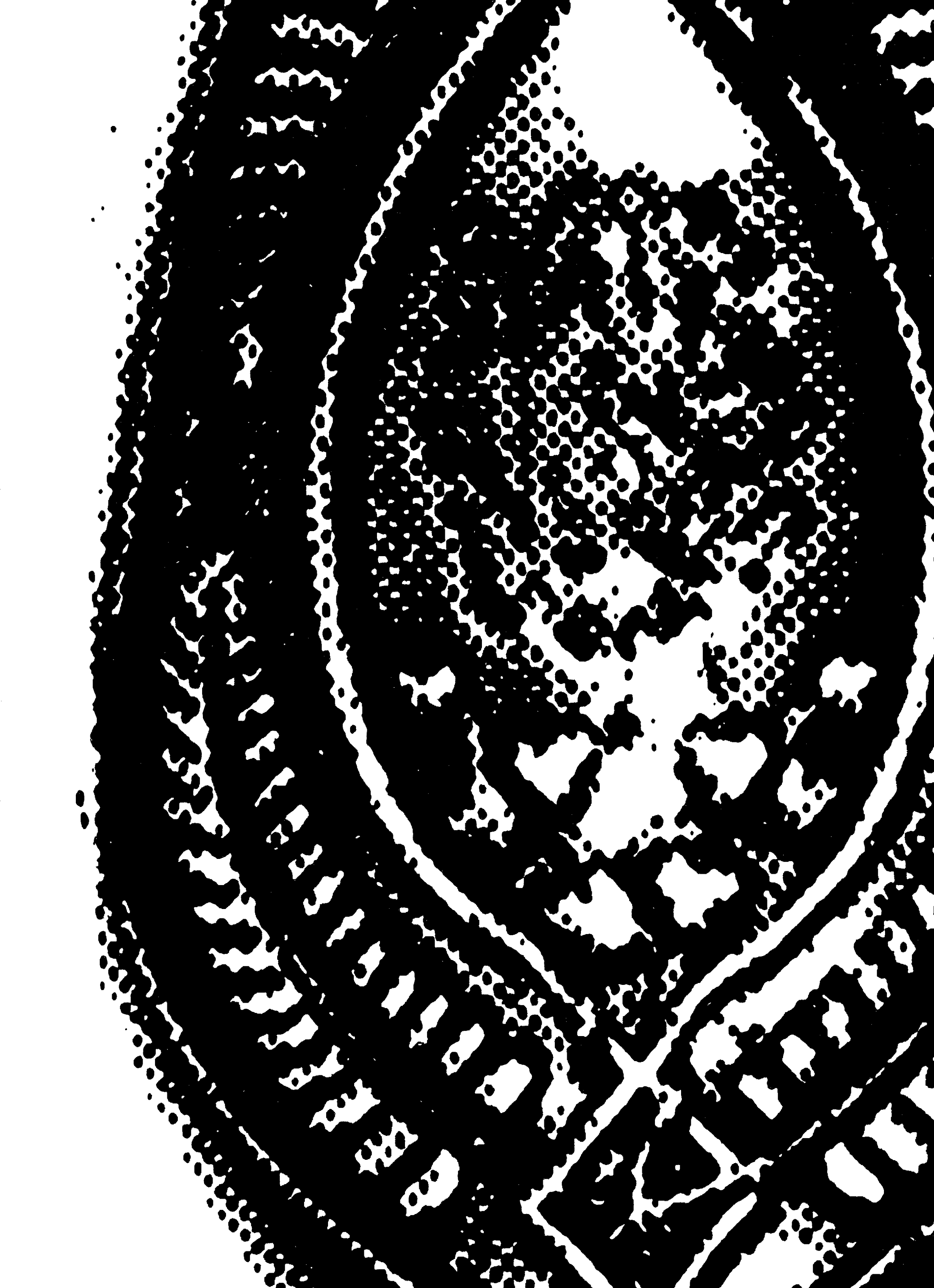 Spoon-(bottom)-(300-PNG)-452ce3fa38b644d973fcf1d47a0d81d6.png