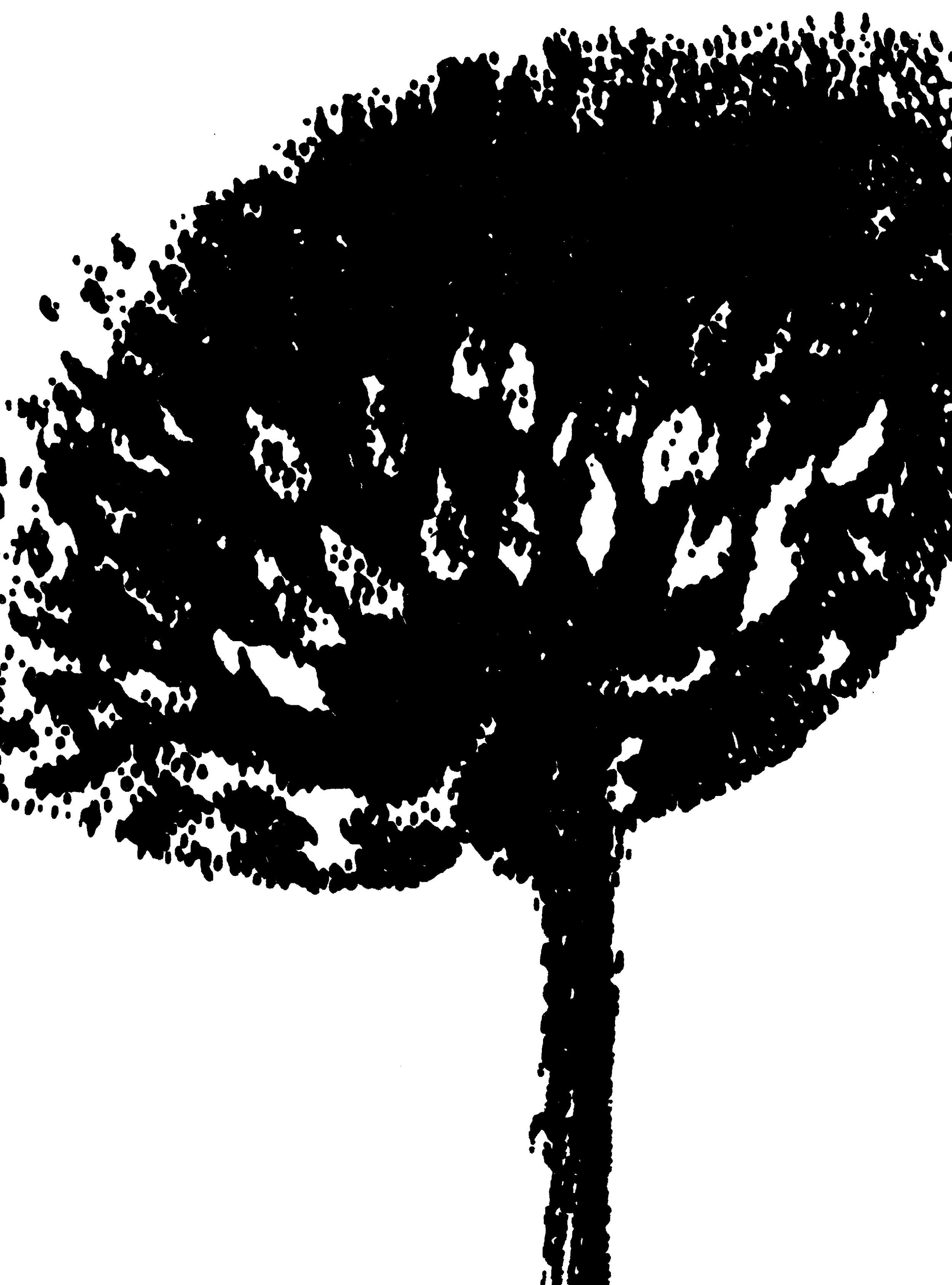 Small-Airhead-(300-PNG)-a8dd5731e69cafb7db721ad2c1d98a33.png