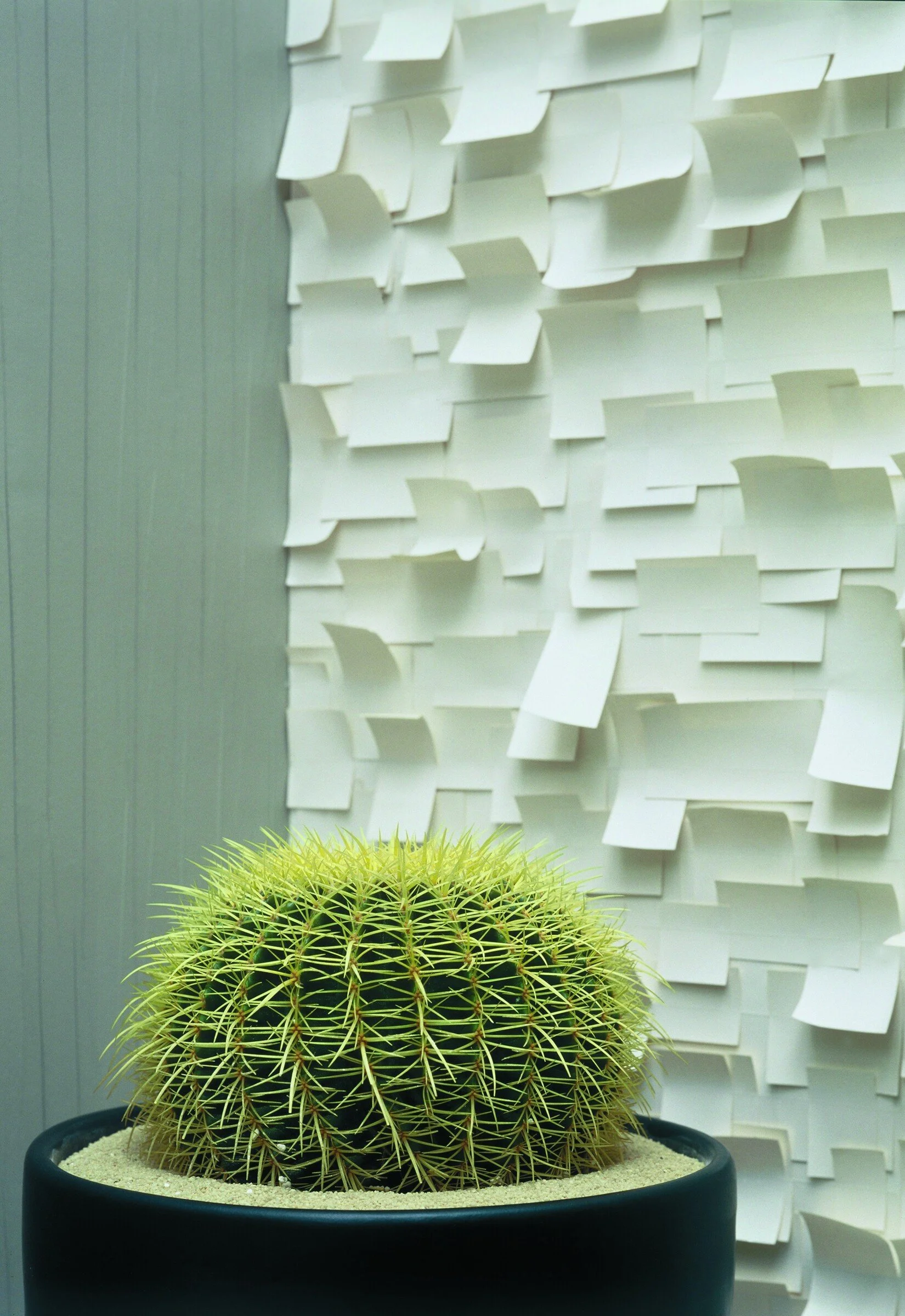 In-the-White-Room--998bb0ba76cbe5685a302fd45a48f0b0.jpg