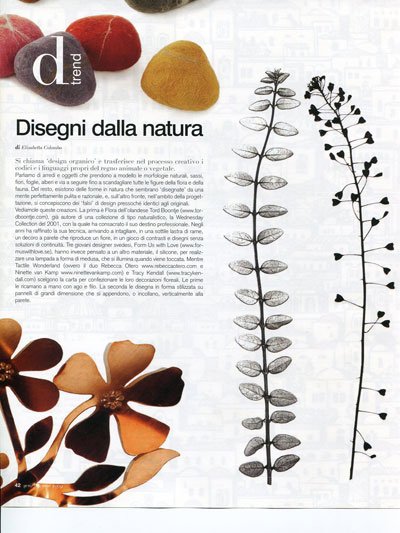 Page from a magazine or book with the title "Disegni dalla natura." Contains images of dried leaves and flowers, including a branch with leaves, and decorative stones, with Italian text.