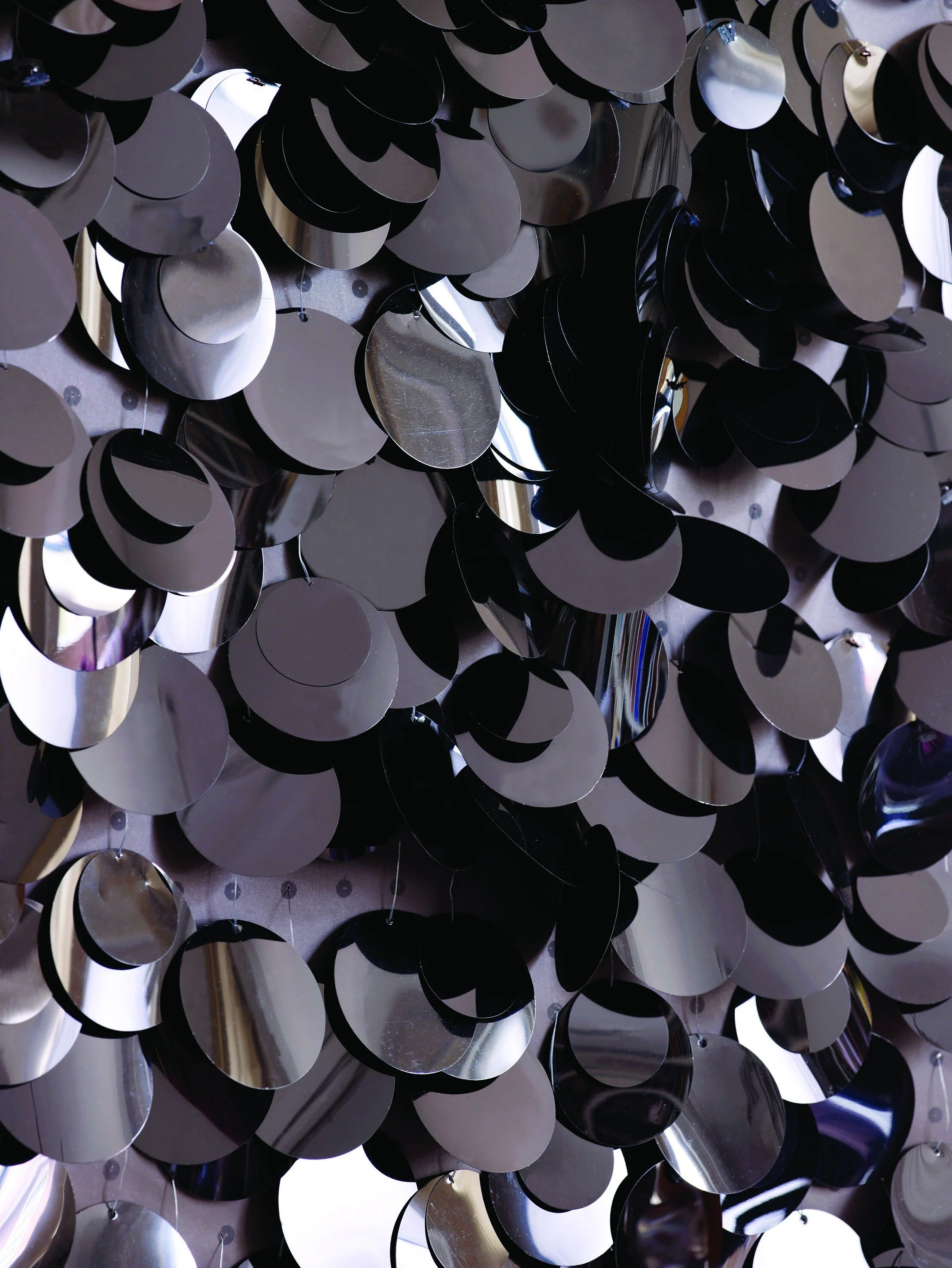 Sequins-8-a7c9ea97d4831ed8131c547c0ae98787.jpg