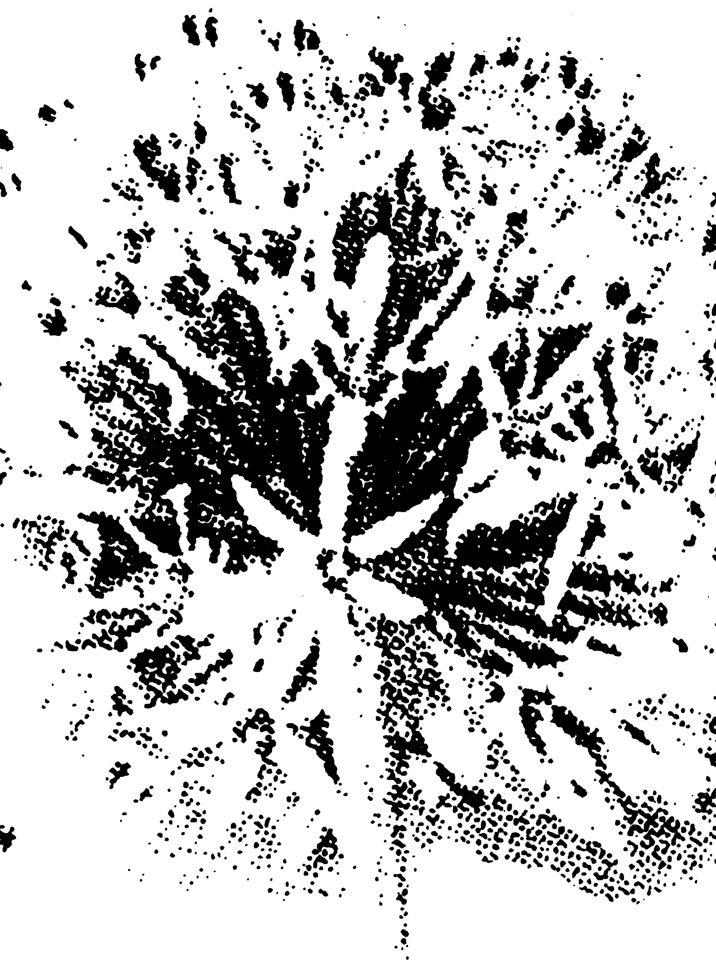 Light-Airhead-(300-PNG)-0a9378c0f9fcefceff27e667713ab4ac.png