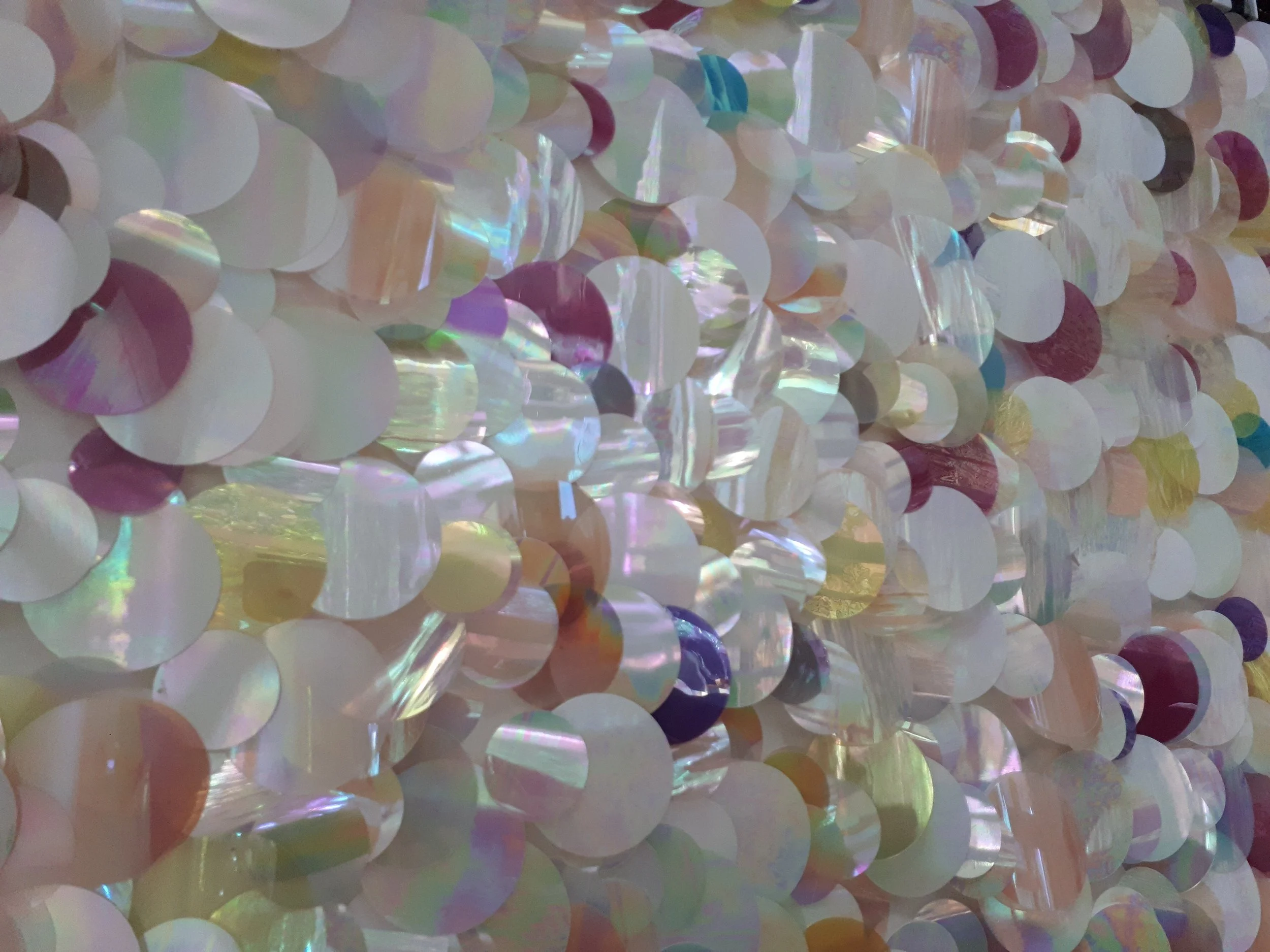 Sequins-2-98537e322e1bac5be426981c7d094963.jpg