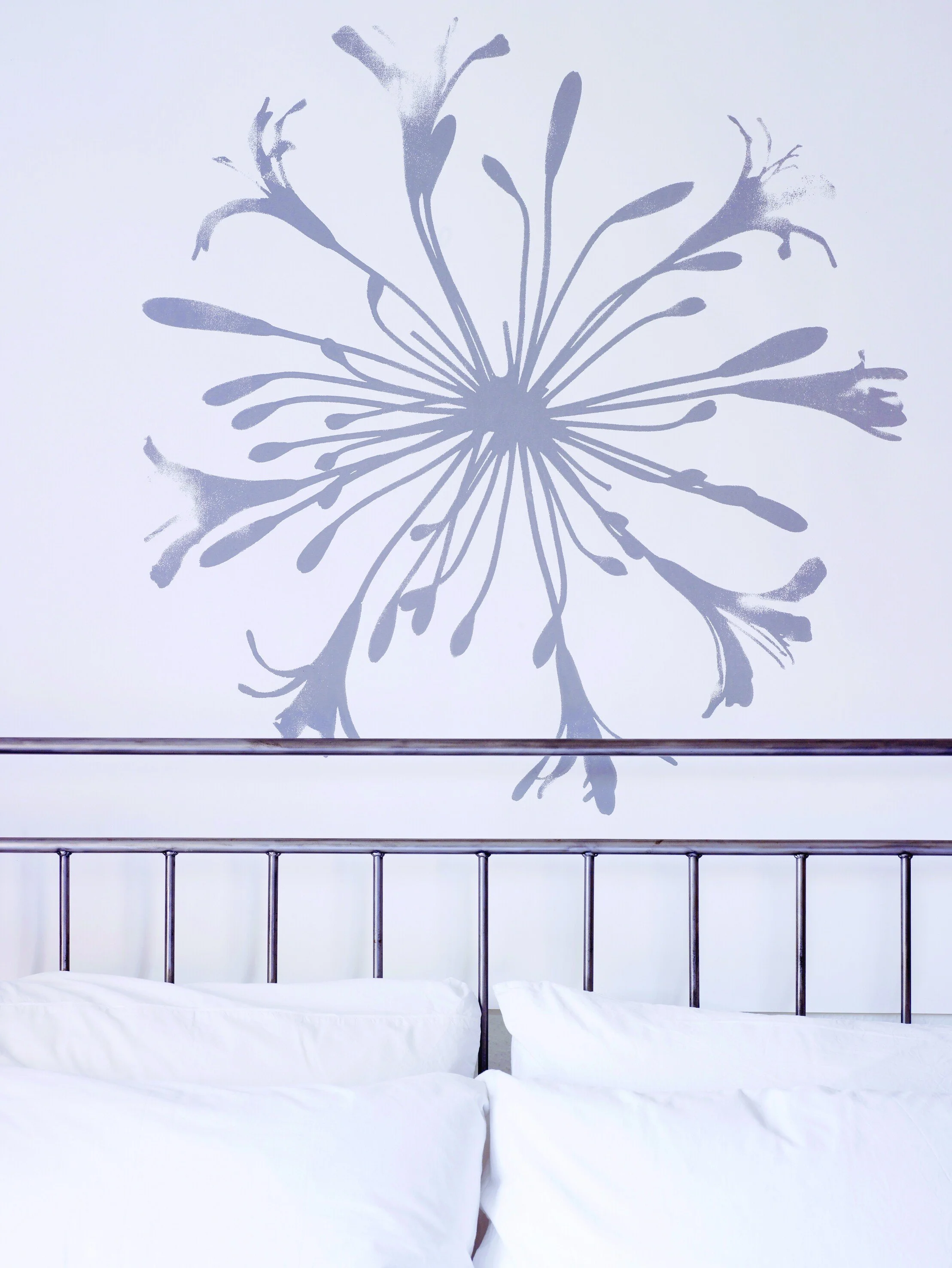 agapanthus-tracy-kendall-1-693cf04113817b0a8f1070d85cac0599.jpg