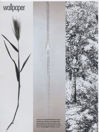 Wallpaper featuring a wheat plant silhouette, a clear glass pendant, and a black and white forest scene.