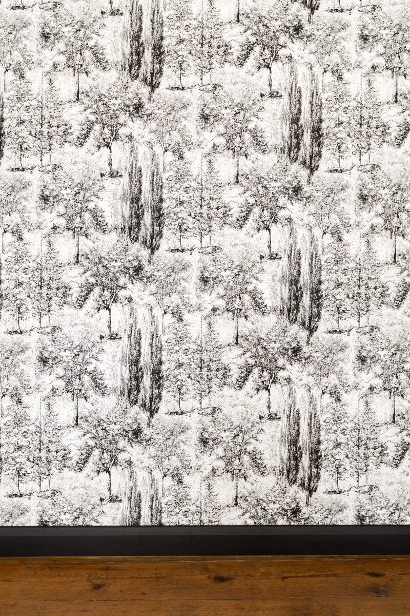 Toile