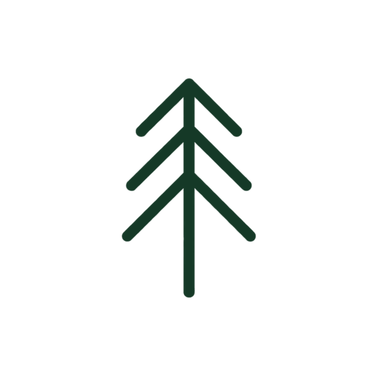 Minimalist line drawing of a pine tree with layered branches, black background