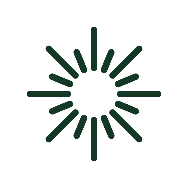 A computer screen displaying a loading icon with a circular pattern of dark green lines.
