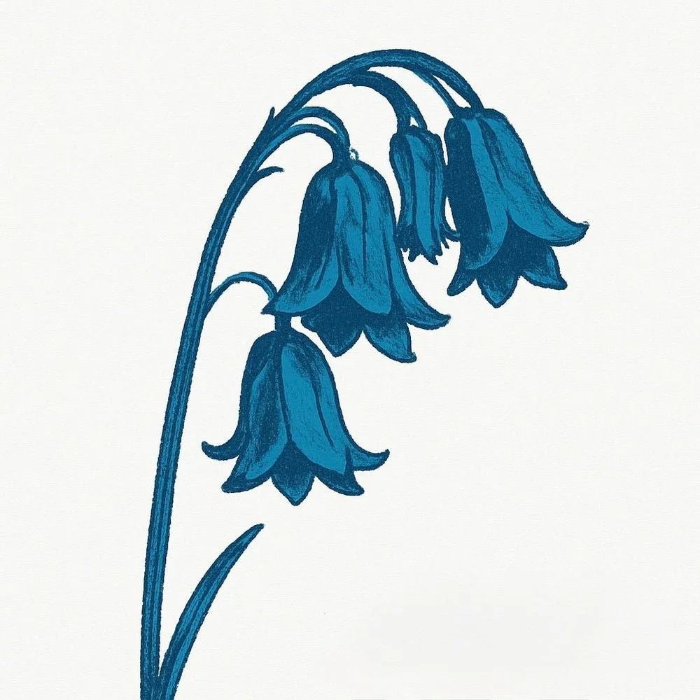 The Bluebells Announce New Album “This Is… The Bluebells” Out 24 April