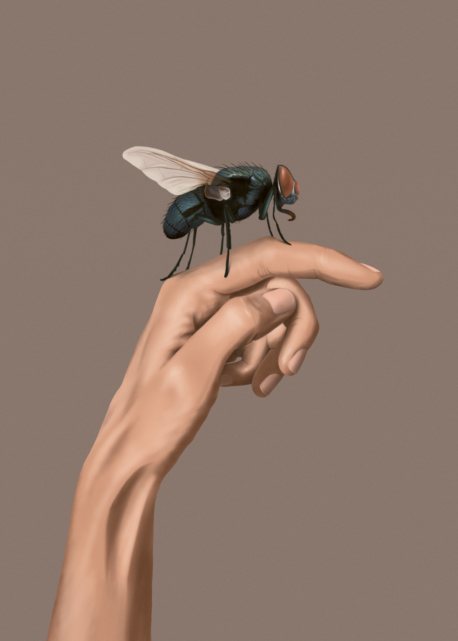 A hand with light skin tone holding a large fly with detailed wings, black body, and red eyes against a neutral background.