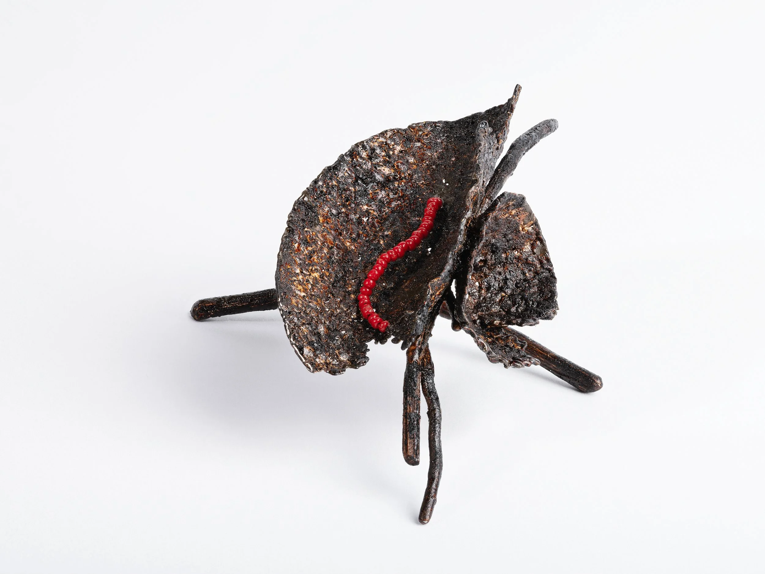 Anello_1_v1.jpg