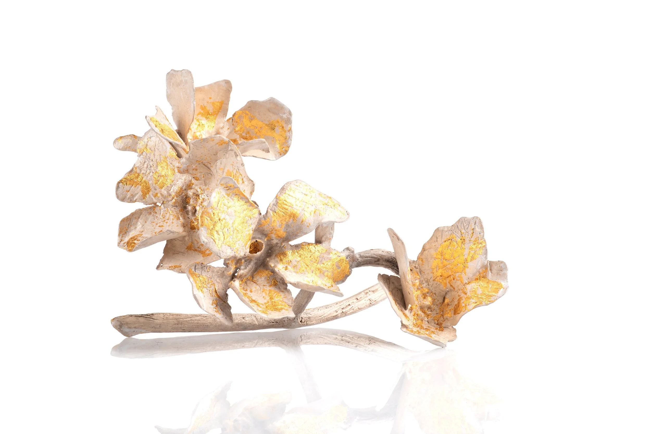Orquideas_infradito.jpg