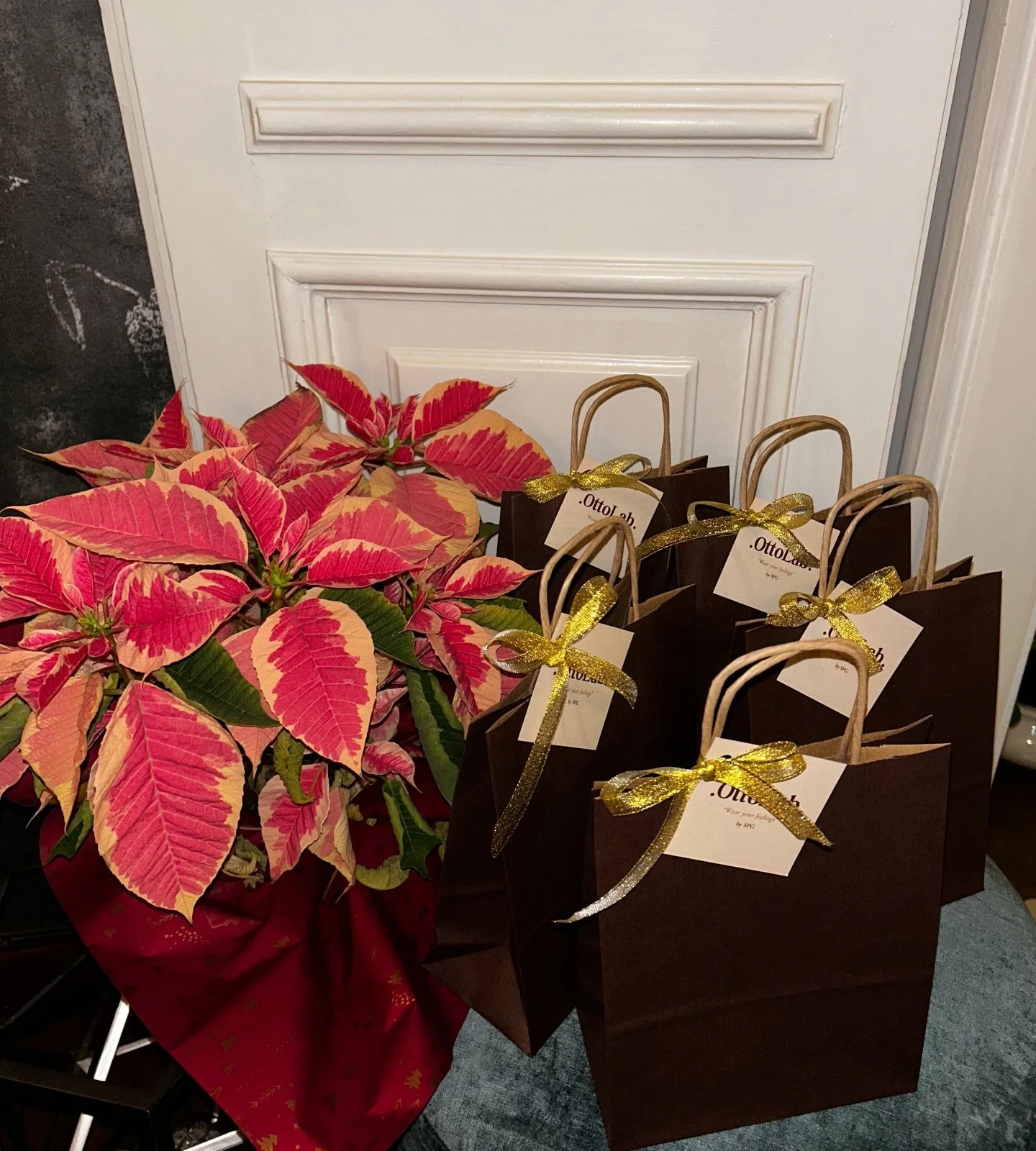 Tanti pacchettini pronti ad arrivare sotto i vostri alberi di Natale 🎄✨🎁🎅🏼