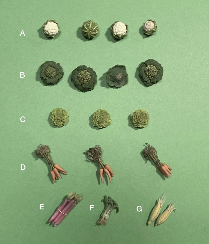 Selection of vegetables