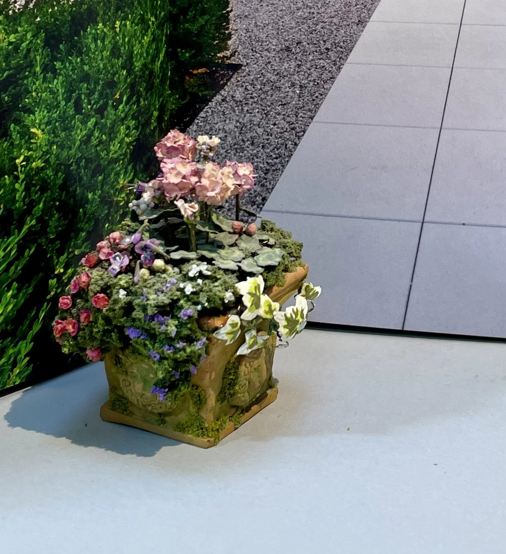 Terracotta tub with flowers