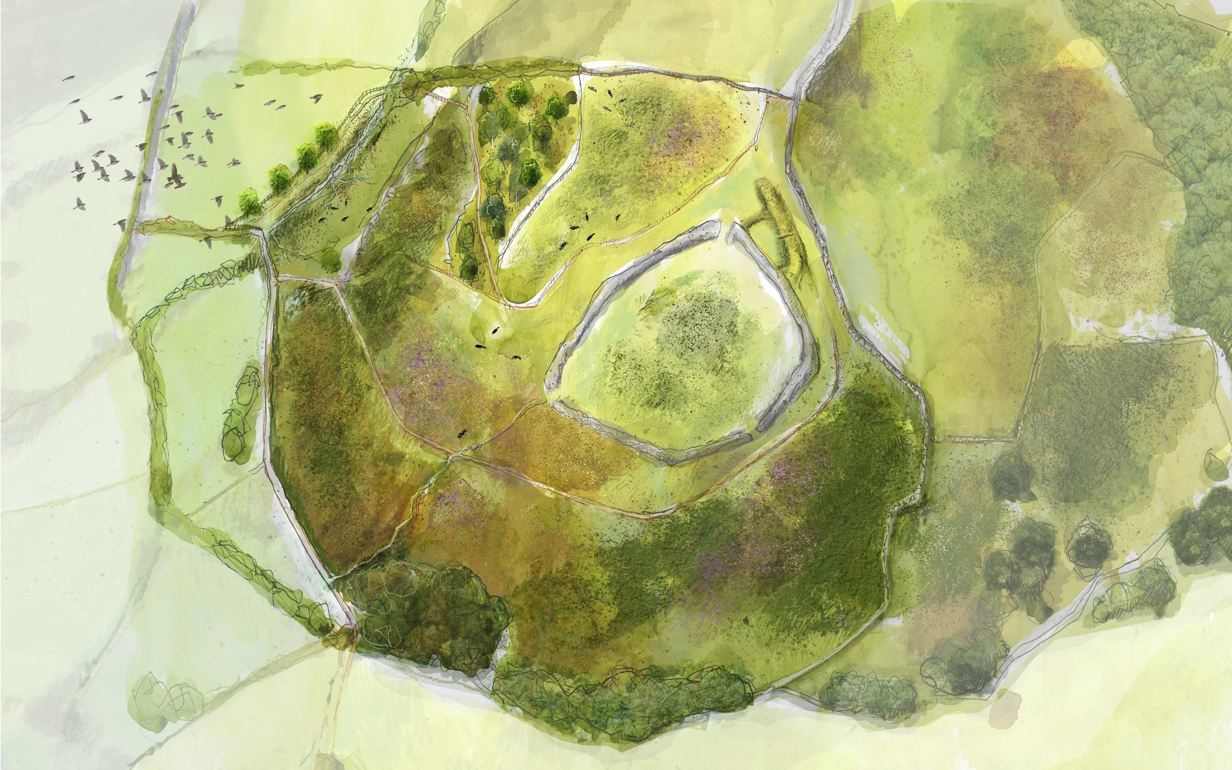 Denbighshire Woodland Creation