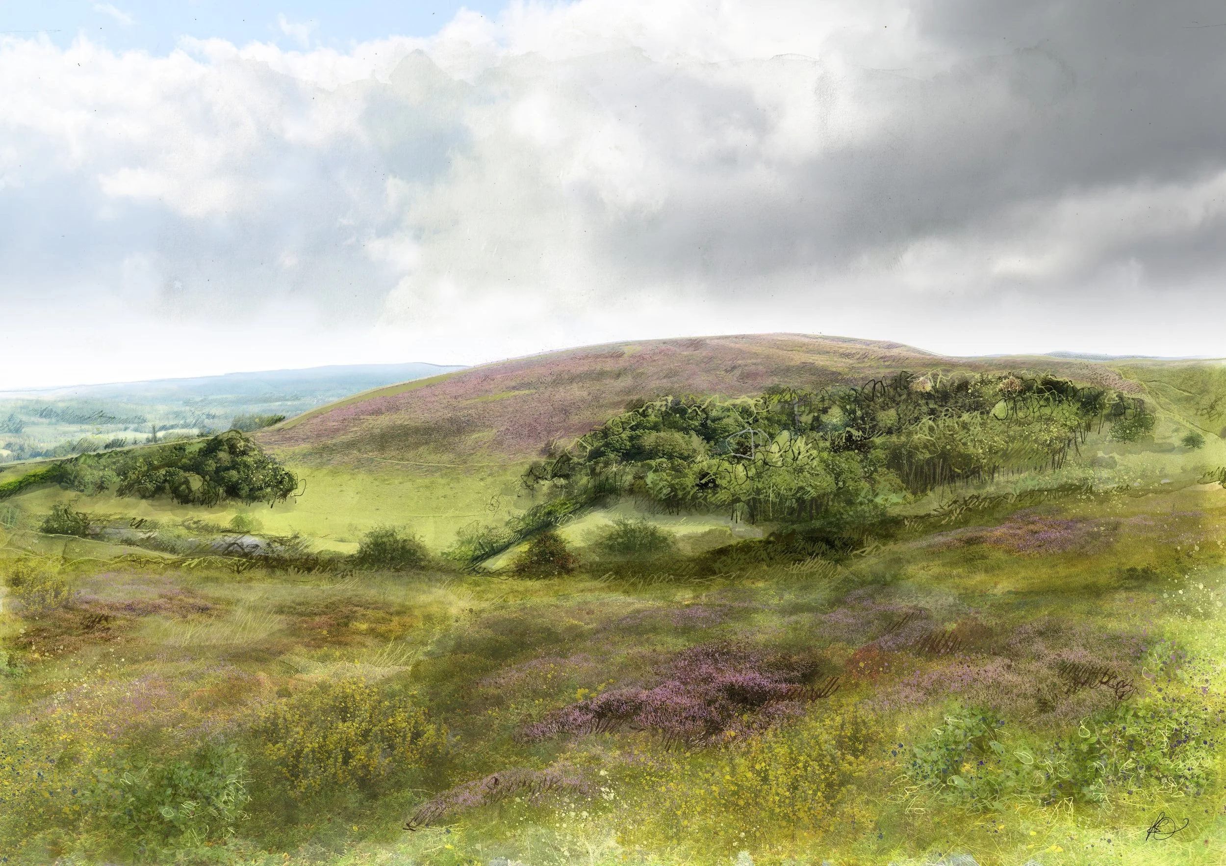 MOEL Y PLAS VIEW 2 -AFTER-A2 - 2BORDERLESS.jpg