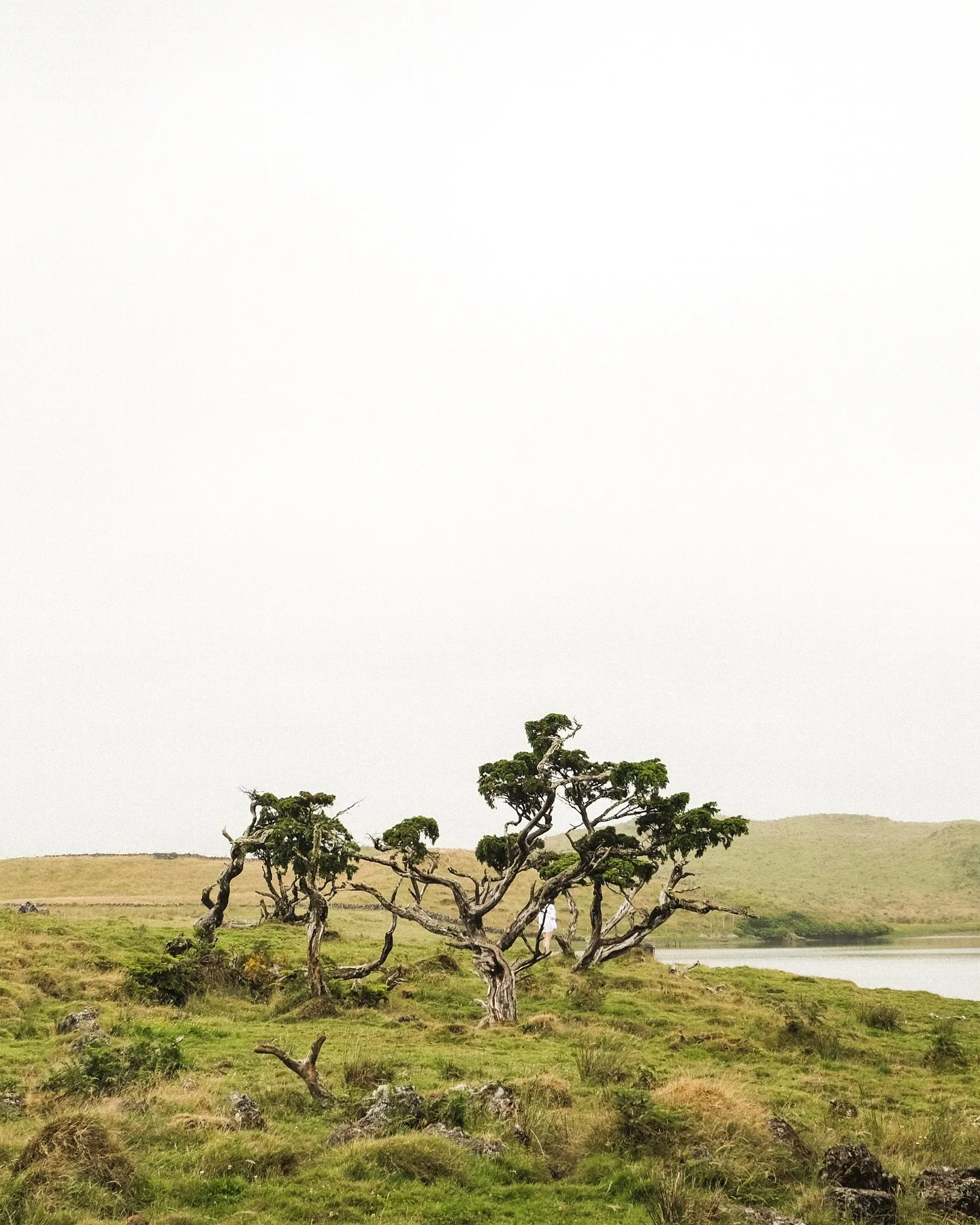 Finding absolute stillness. Pico Island, Azores. 🗻
#visitazores #azores #picoisland #stillness #calm #natureperfection #visitportugal #landscapelovers #portugal #photogram #photographer #travelphoto
@visitazores @discover_azores
