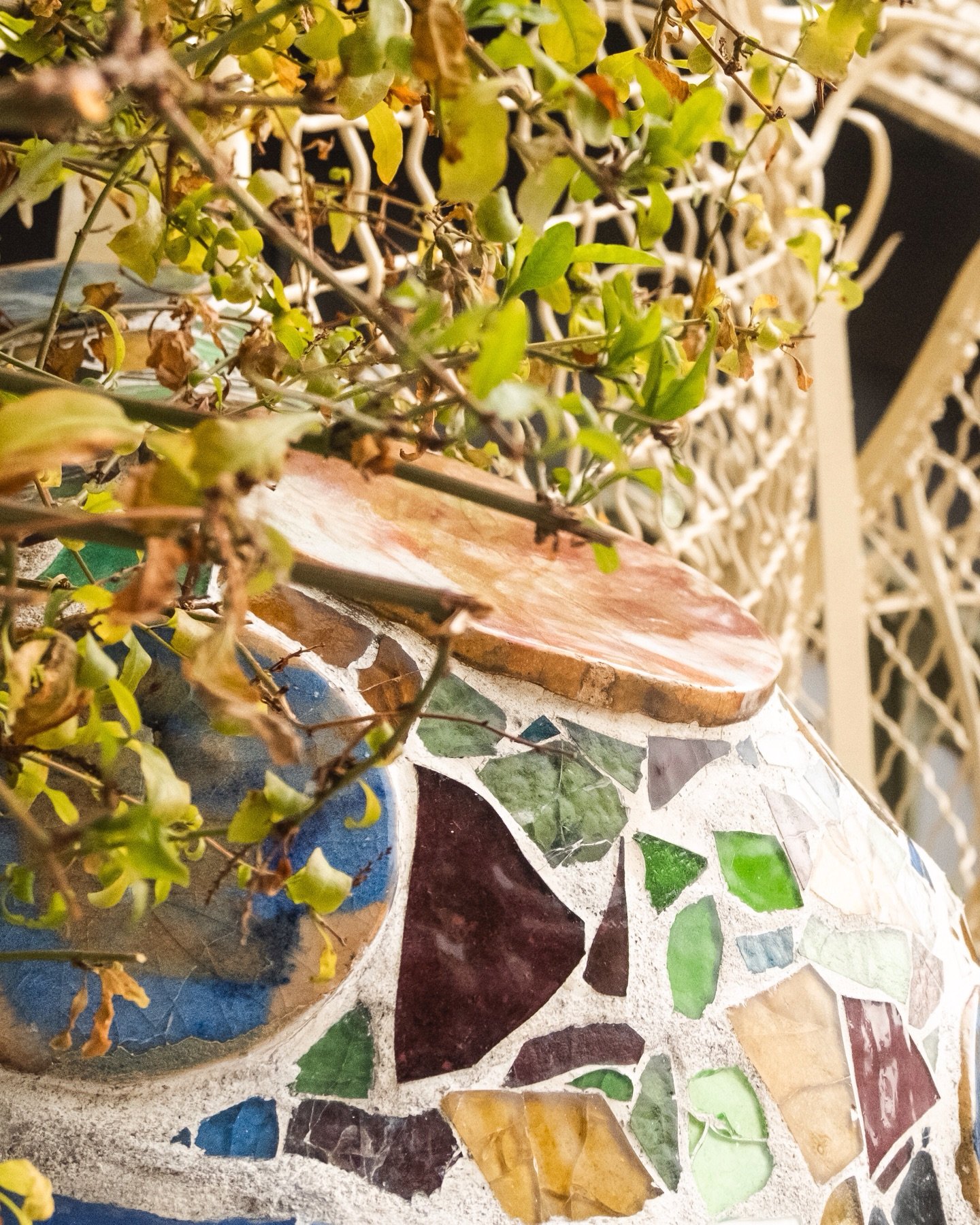slowing down for some details at casa batllo Barcelona 🐉 📸 

#barcelona #slowtravel #travelinspo #visitspain #casabatllo