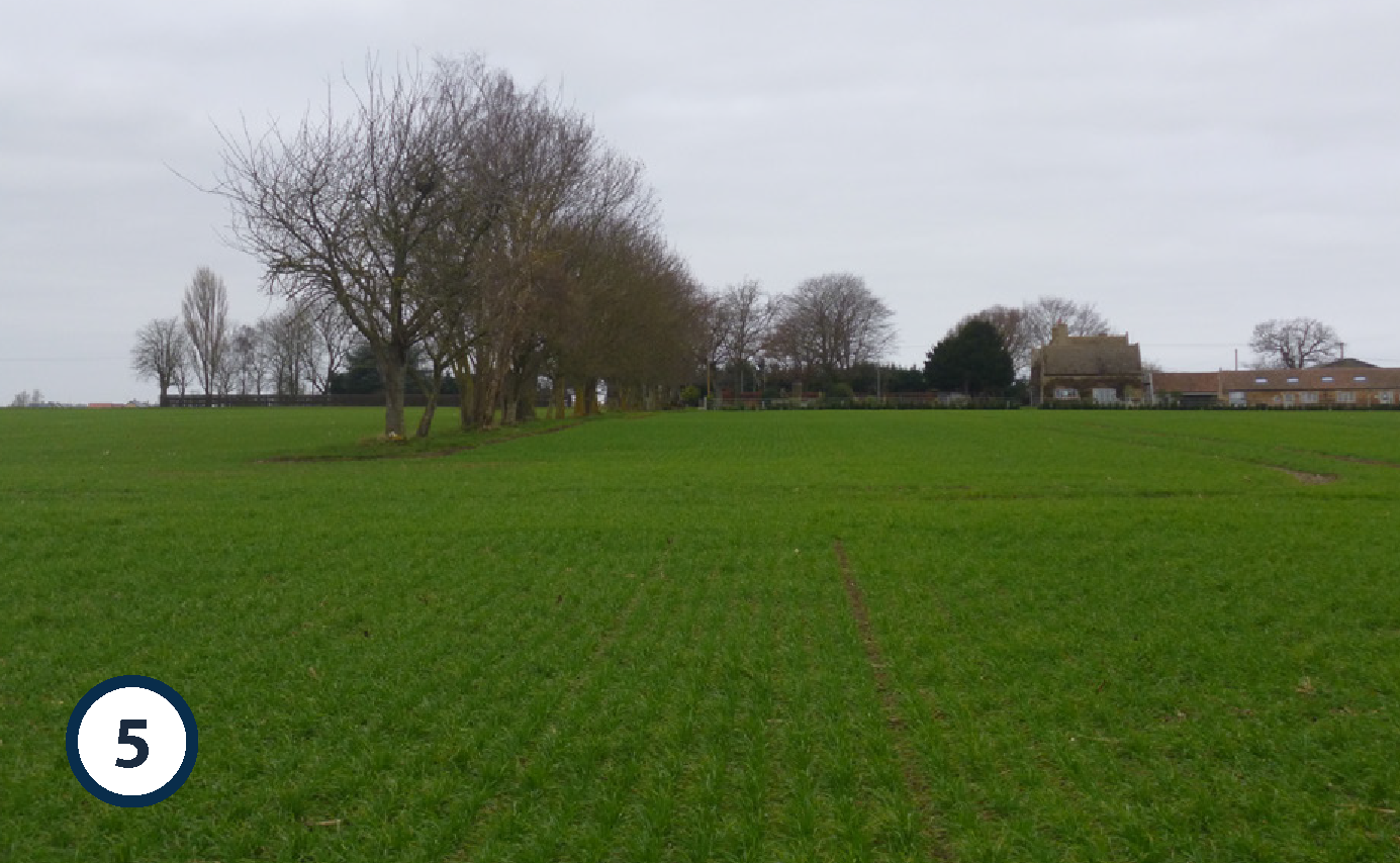 A grassy field with a line of trees on the left and a few houses and trees in the background under a gray, cloudy sky.