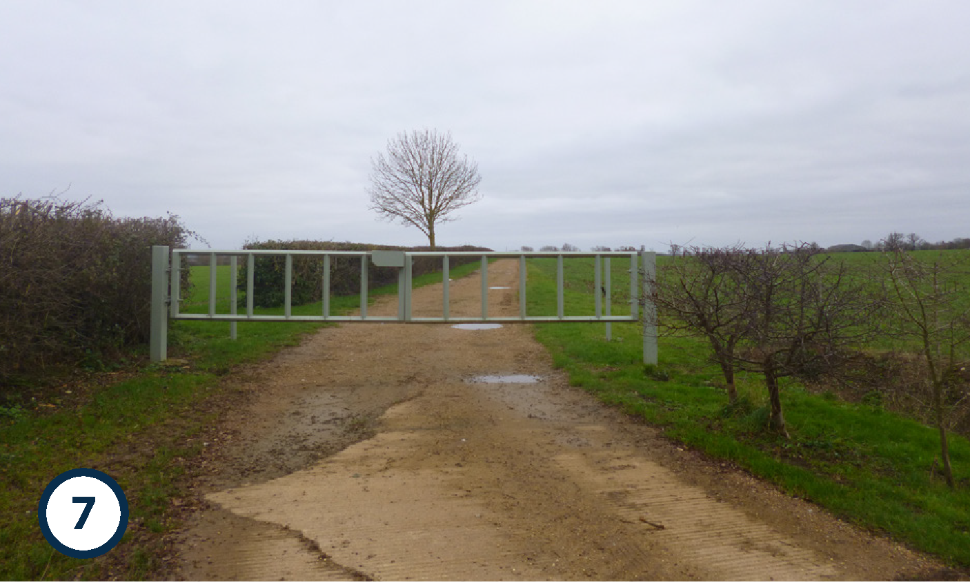 A dirt road in a rural area blocked by a metal gate, with a leafless tree in the background under an overcast sky.