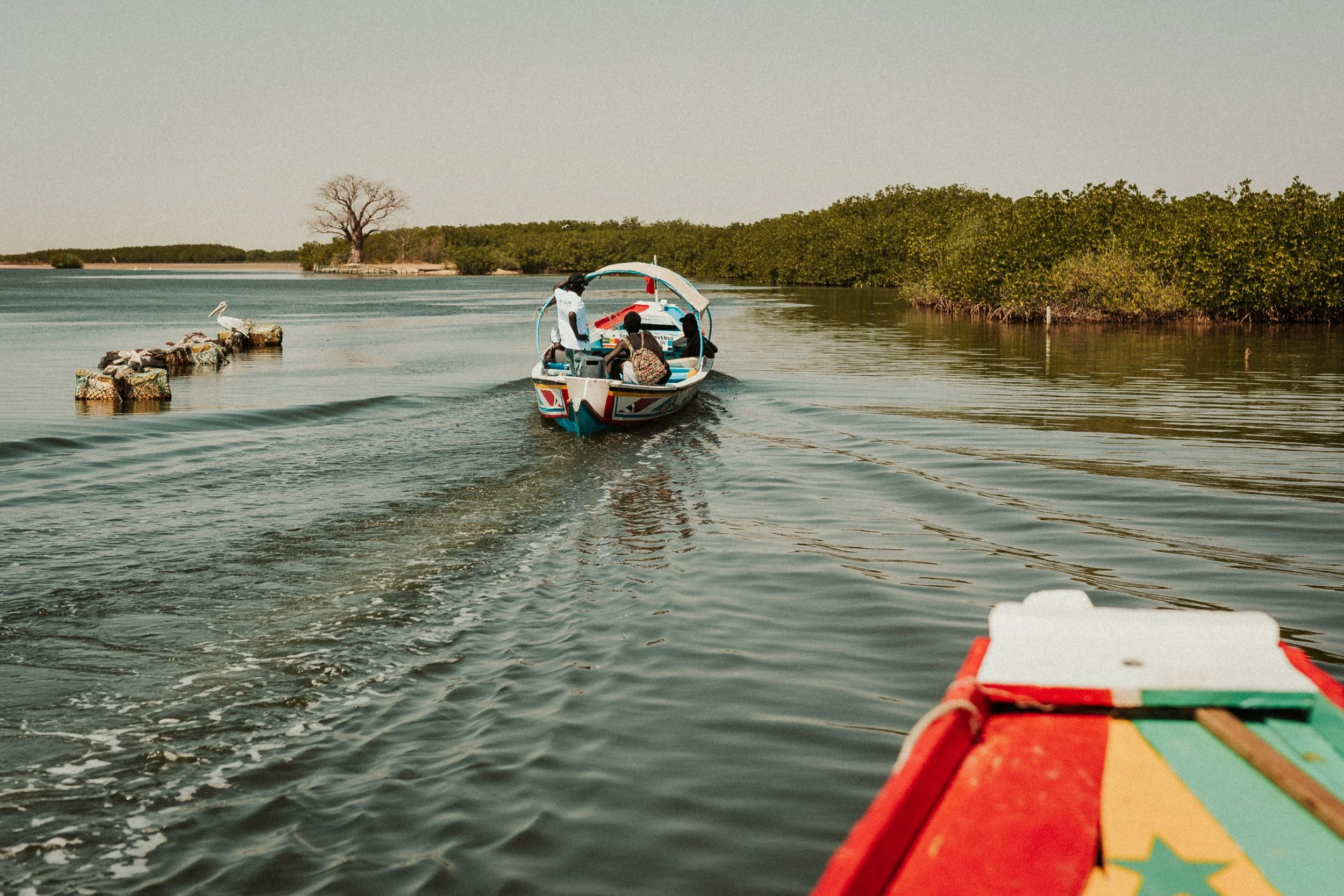 Une petite embarcation avec quatre personnes naviguant sur une rivière ou un lac, entourée de végétation dense, avec un arbre dénudé visible à l'horizon.
