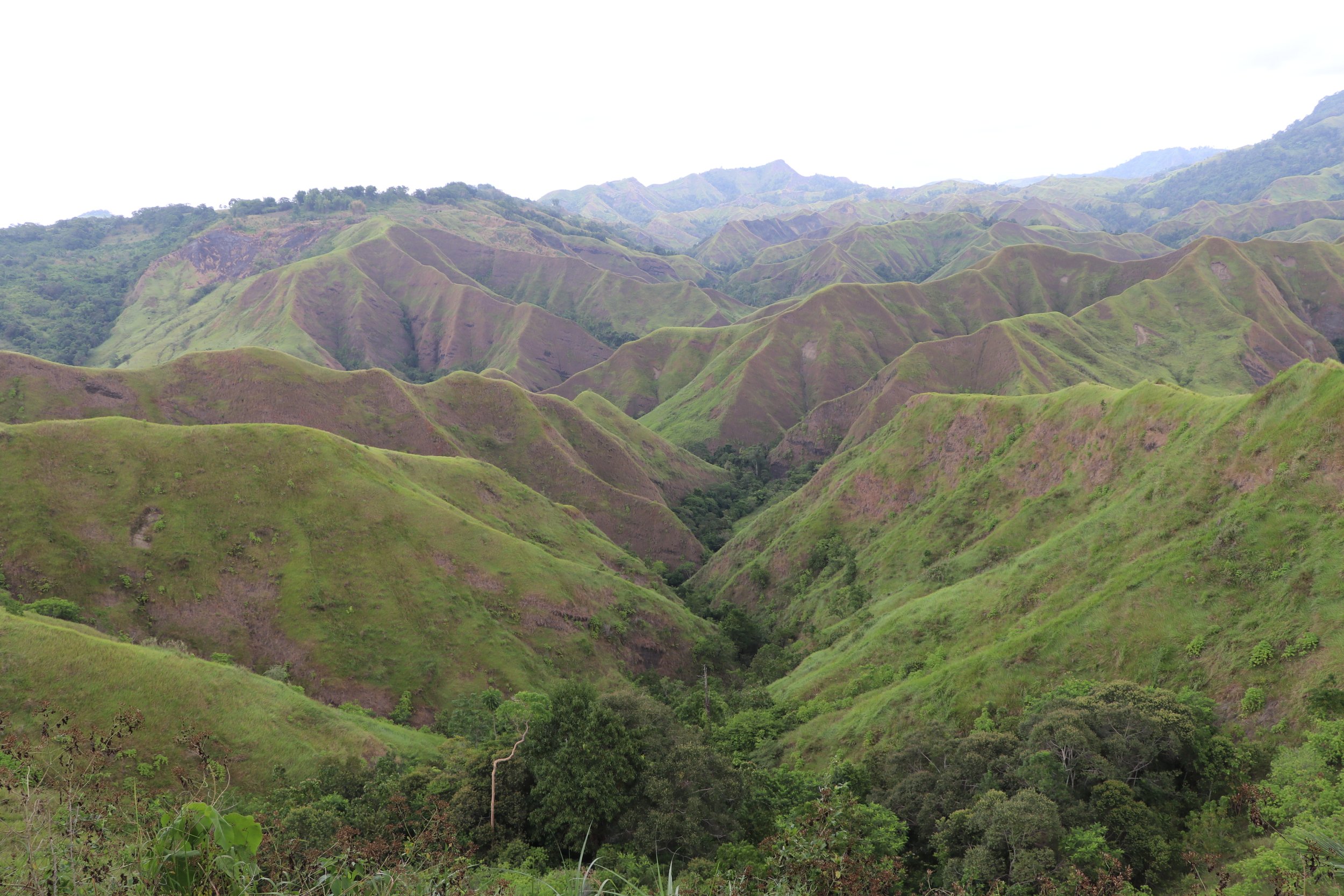 The Grand La Palmera Mountain Ridge