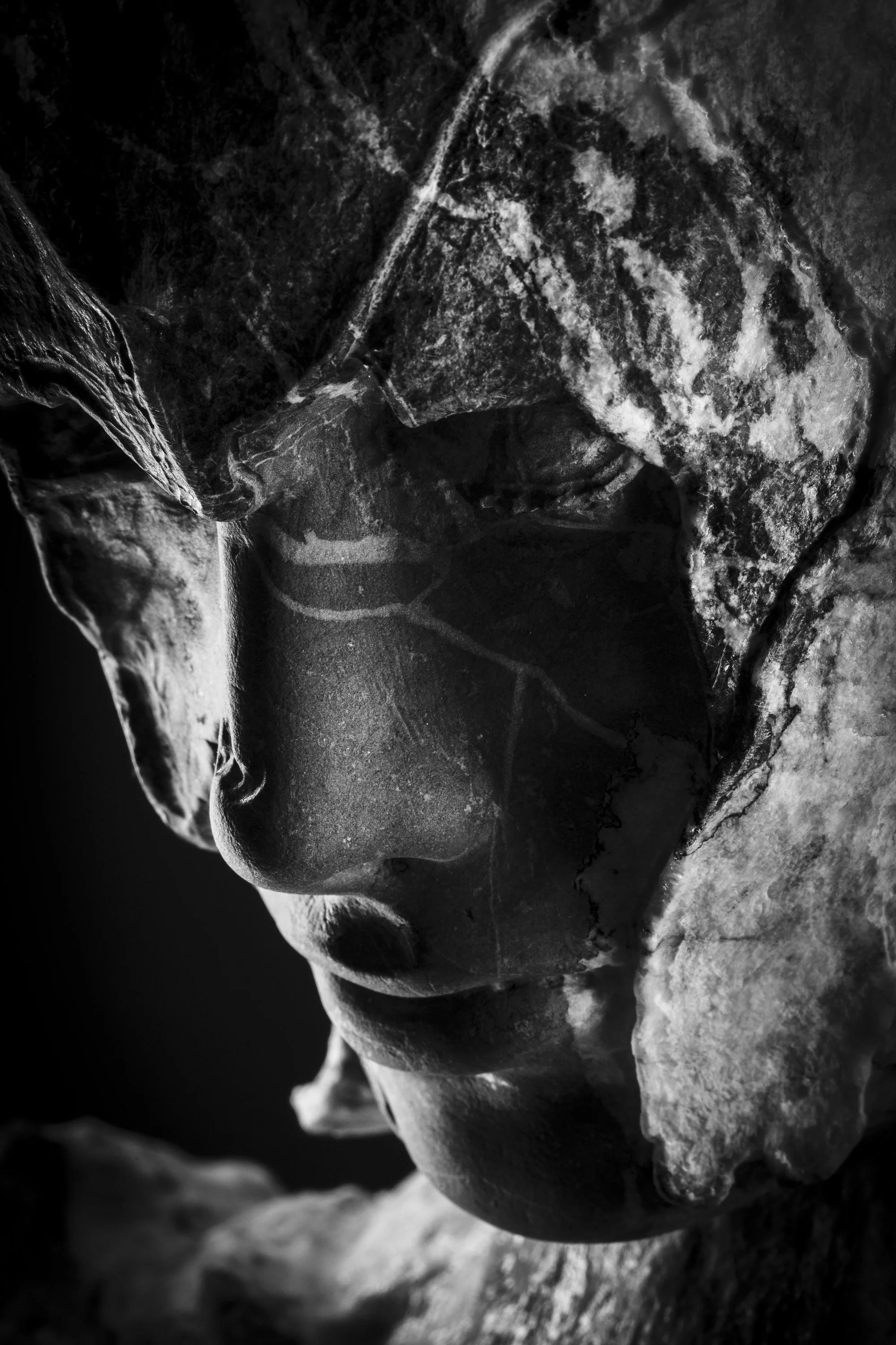 Rilievo di un volto scolpito in marmo, rappresentante un volto umano con dettagli femminili, catturato in un'illustrazione artistica in bianco e nero. L'opera si chiama Unconscious Awareness.