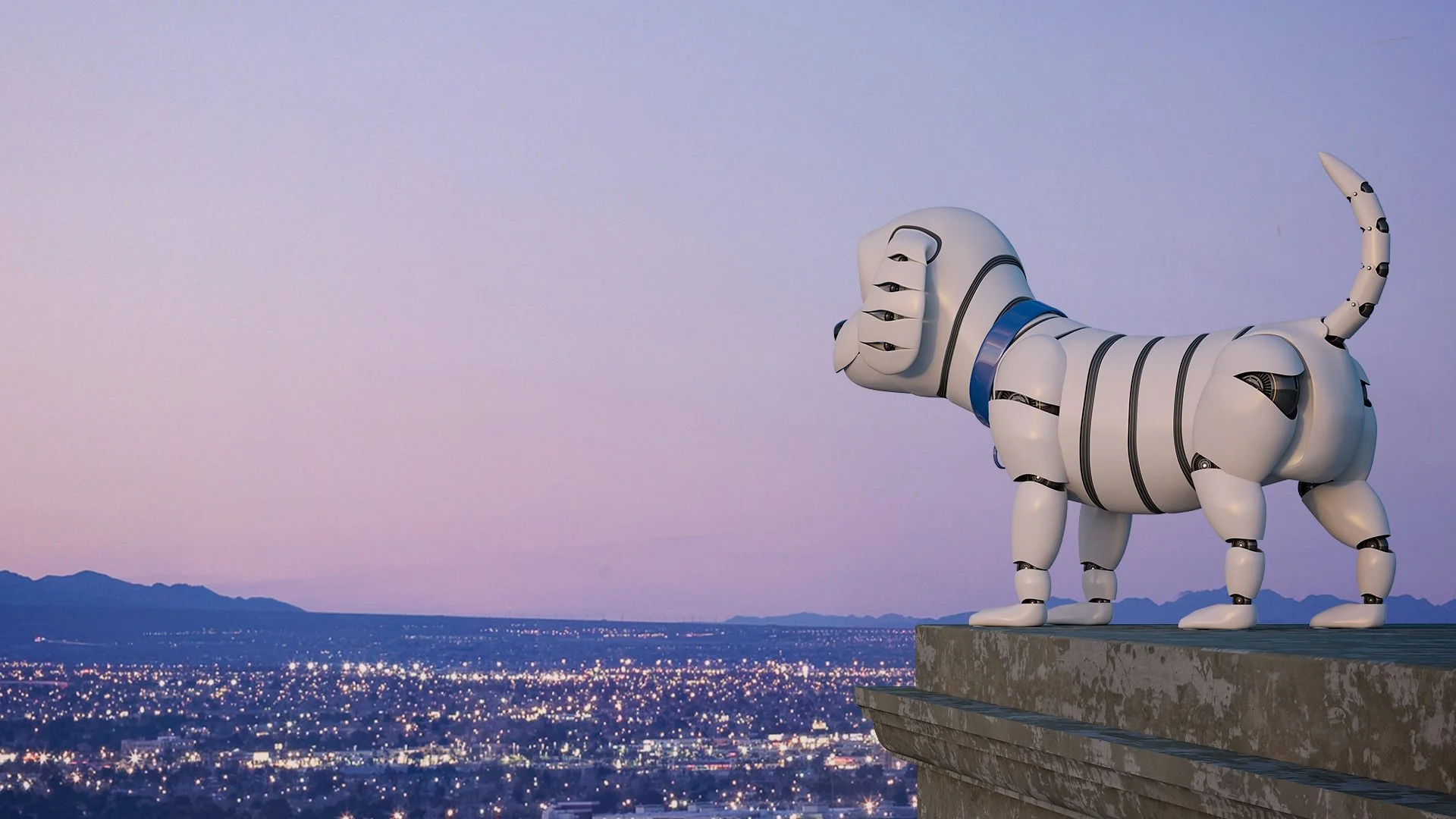 Finalistene til Spesialprisen 2021 er klare