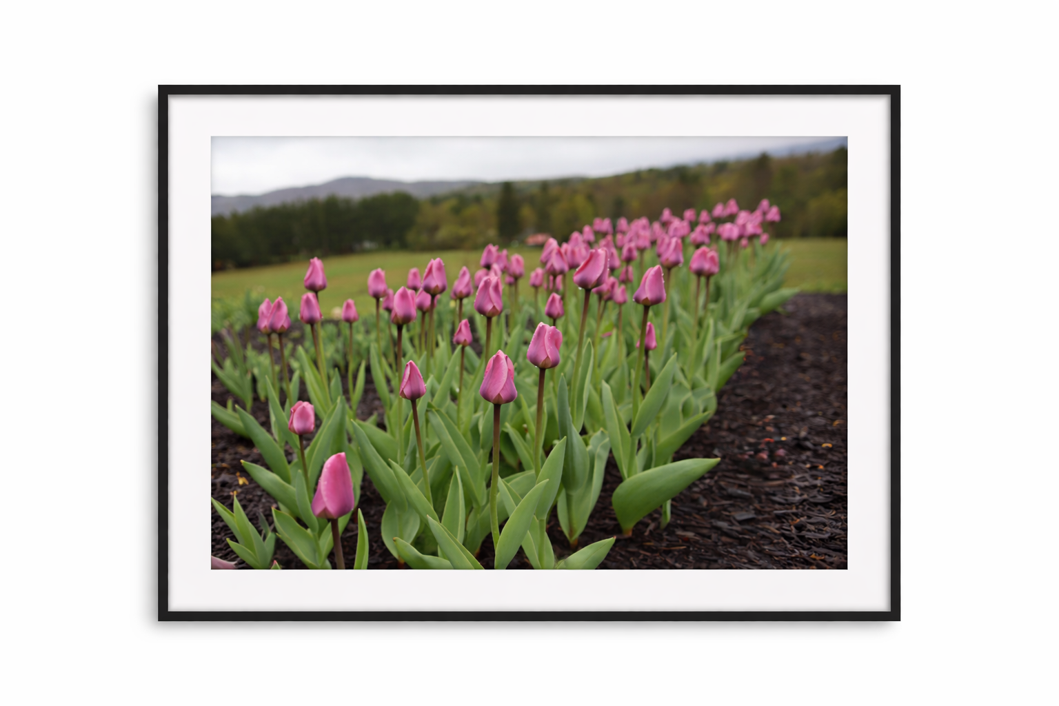 ChatGPT Image Apr 19, 2026, 03_13_10 PM.png