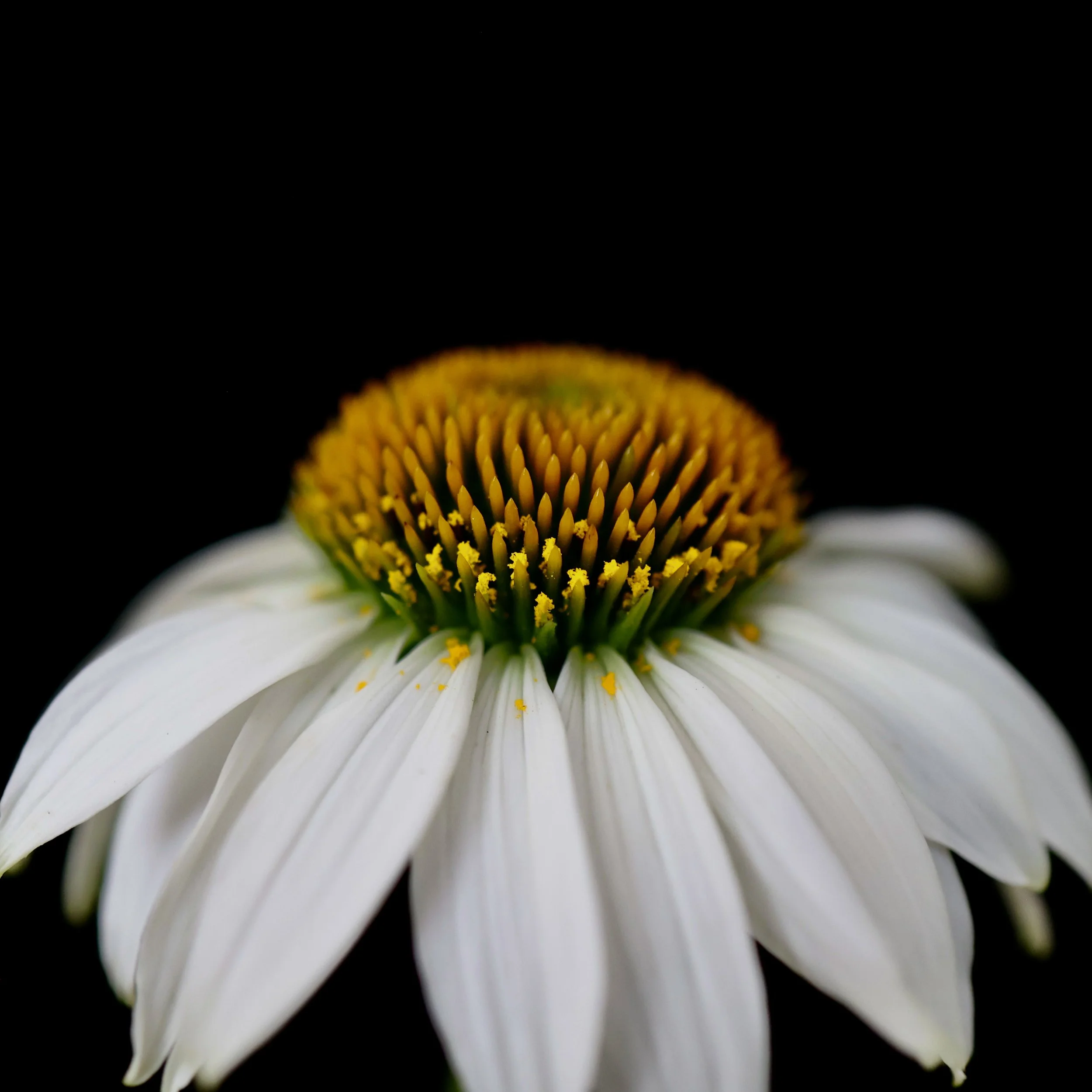 0S2A7901.jpg
