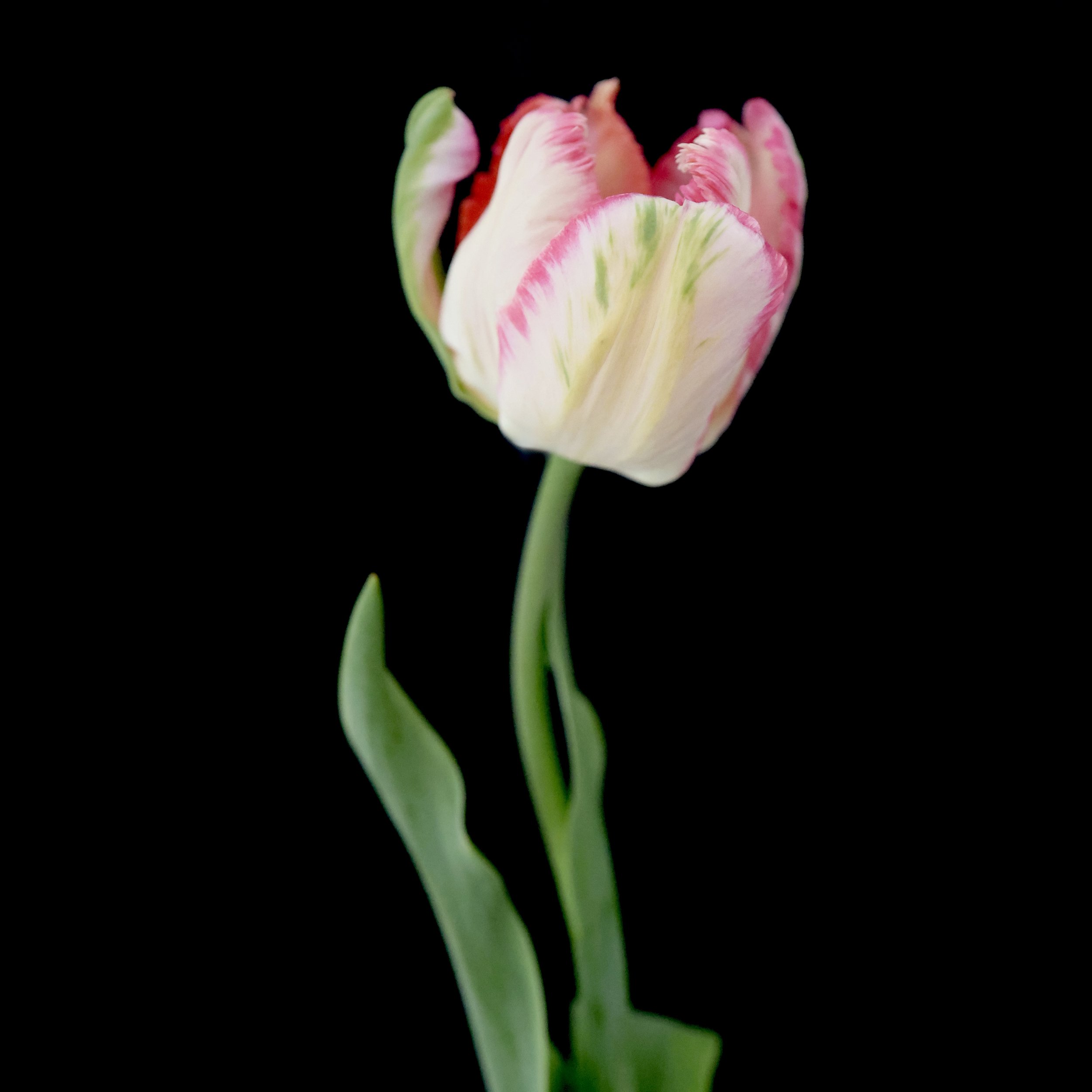 0S2A6365.jpg