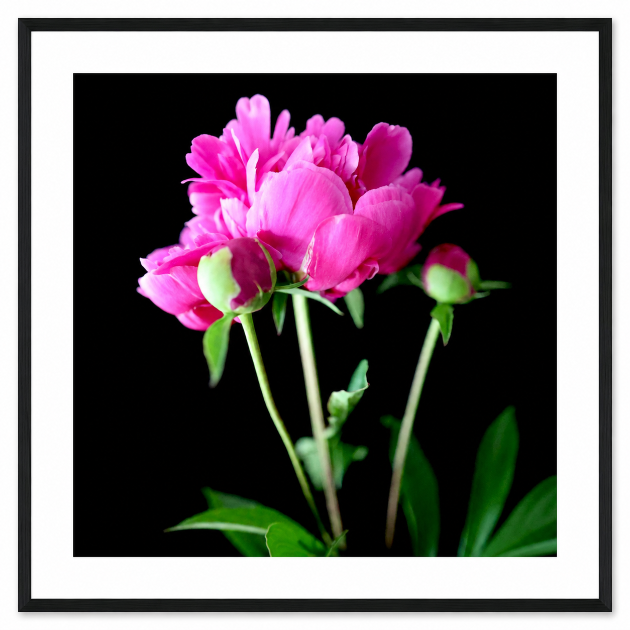 a2d093f9-44b4-4083-8305-dd5823d1902a.png