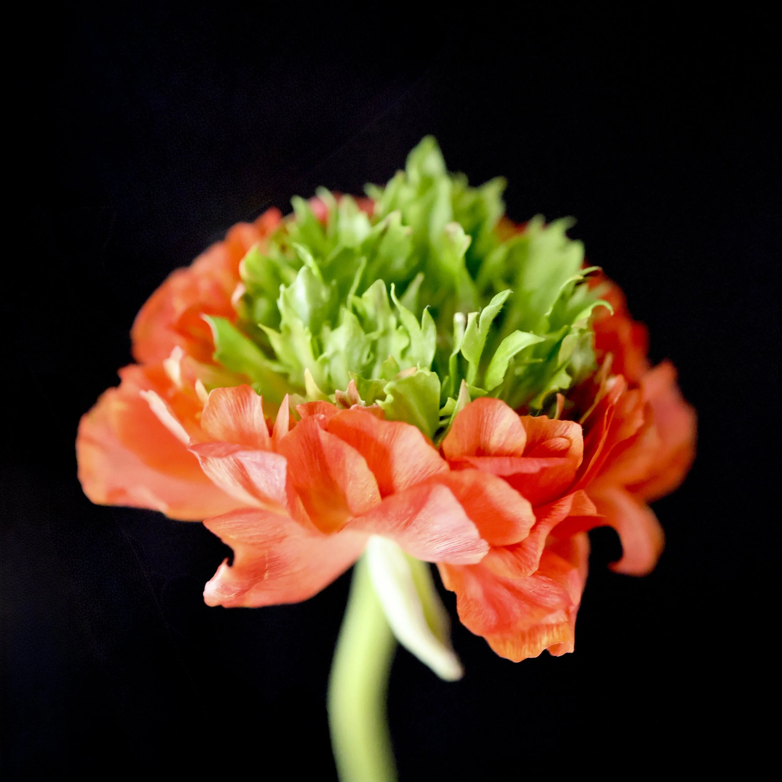 0S2A6738.jpg