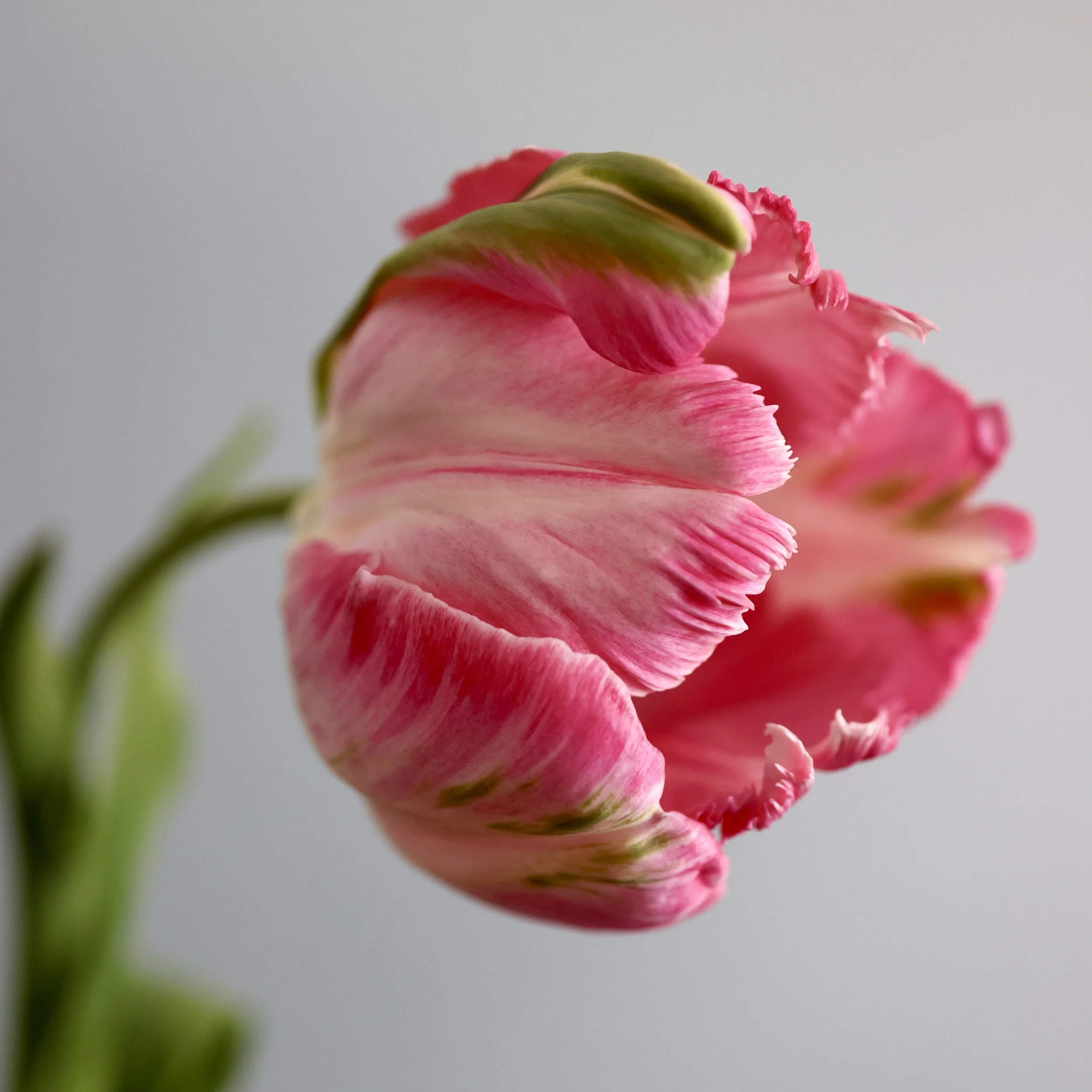 0S2A6609.jpg