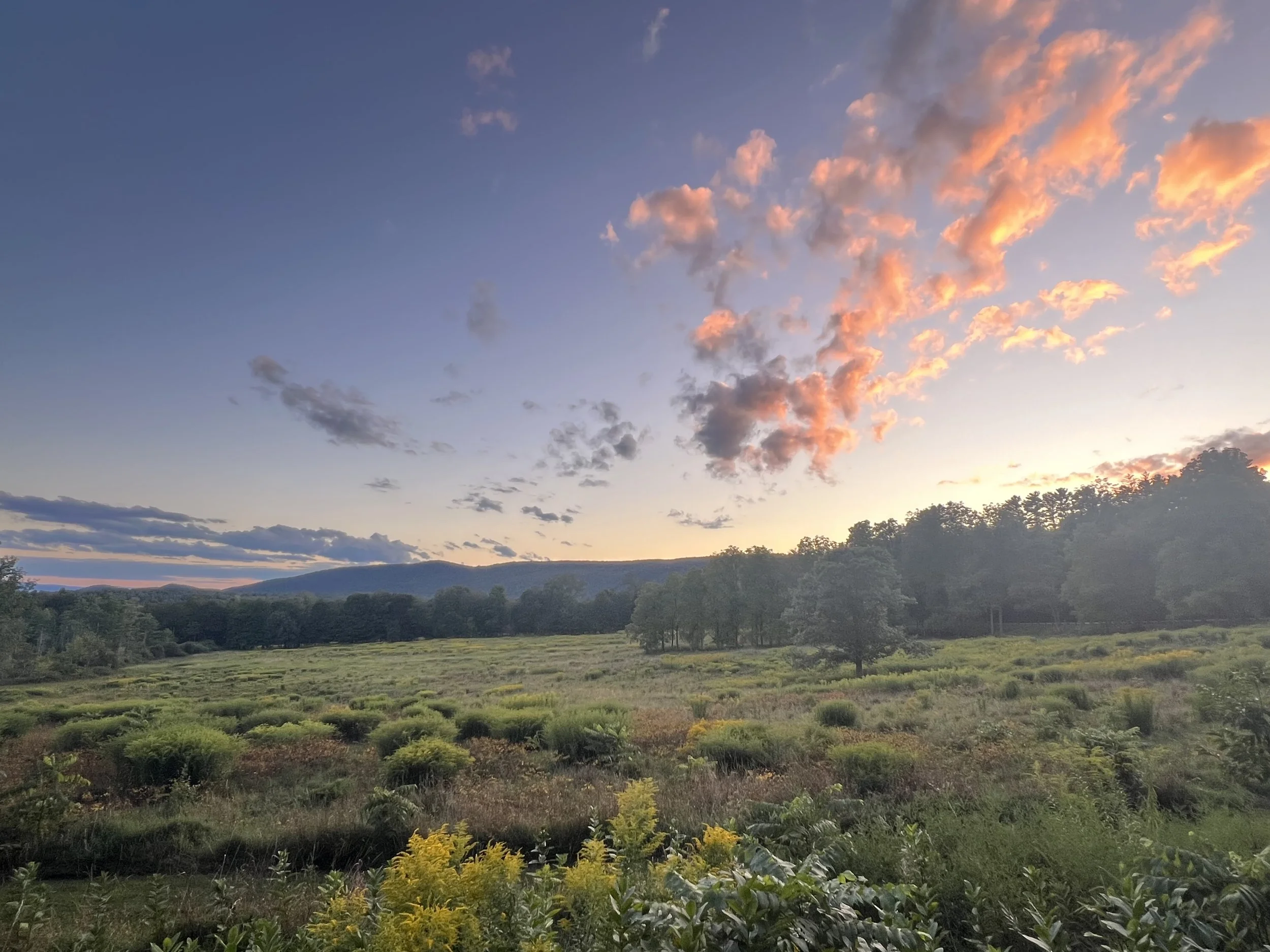 Landscapes: Berkshires, MA