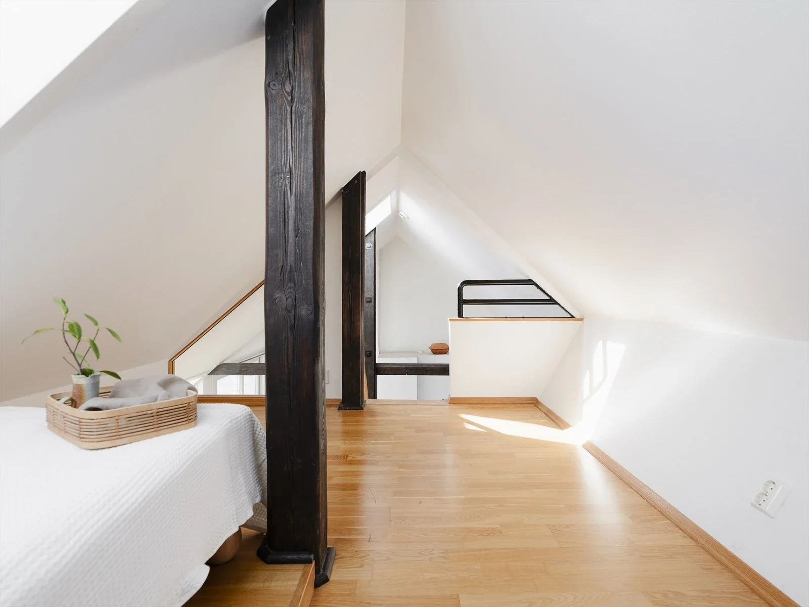 loft 2.webp