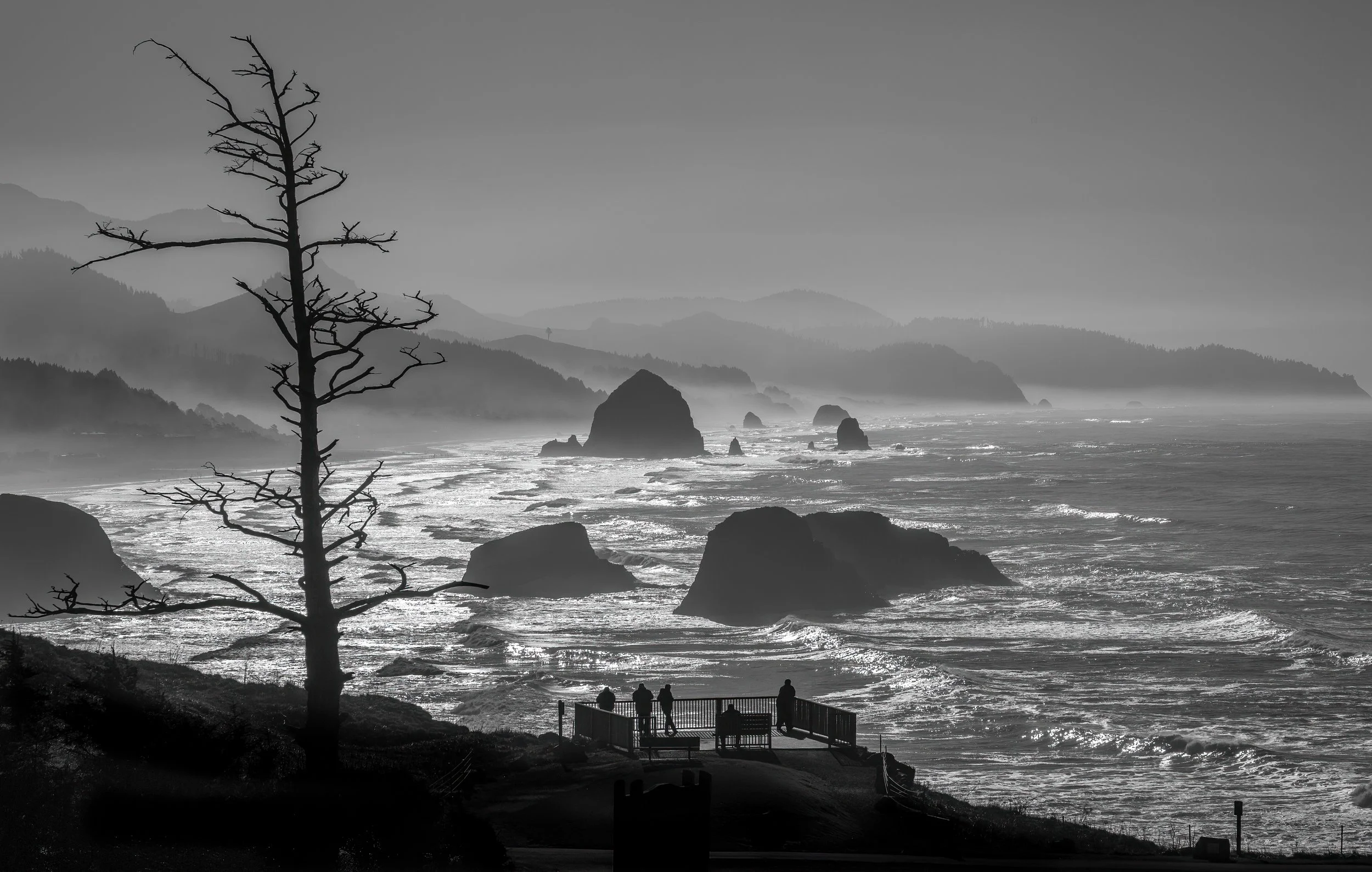A black and white photo of a coastline with waves crashing against rocks, a leafless tree on the left, and a viewing platform with people.