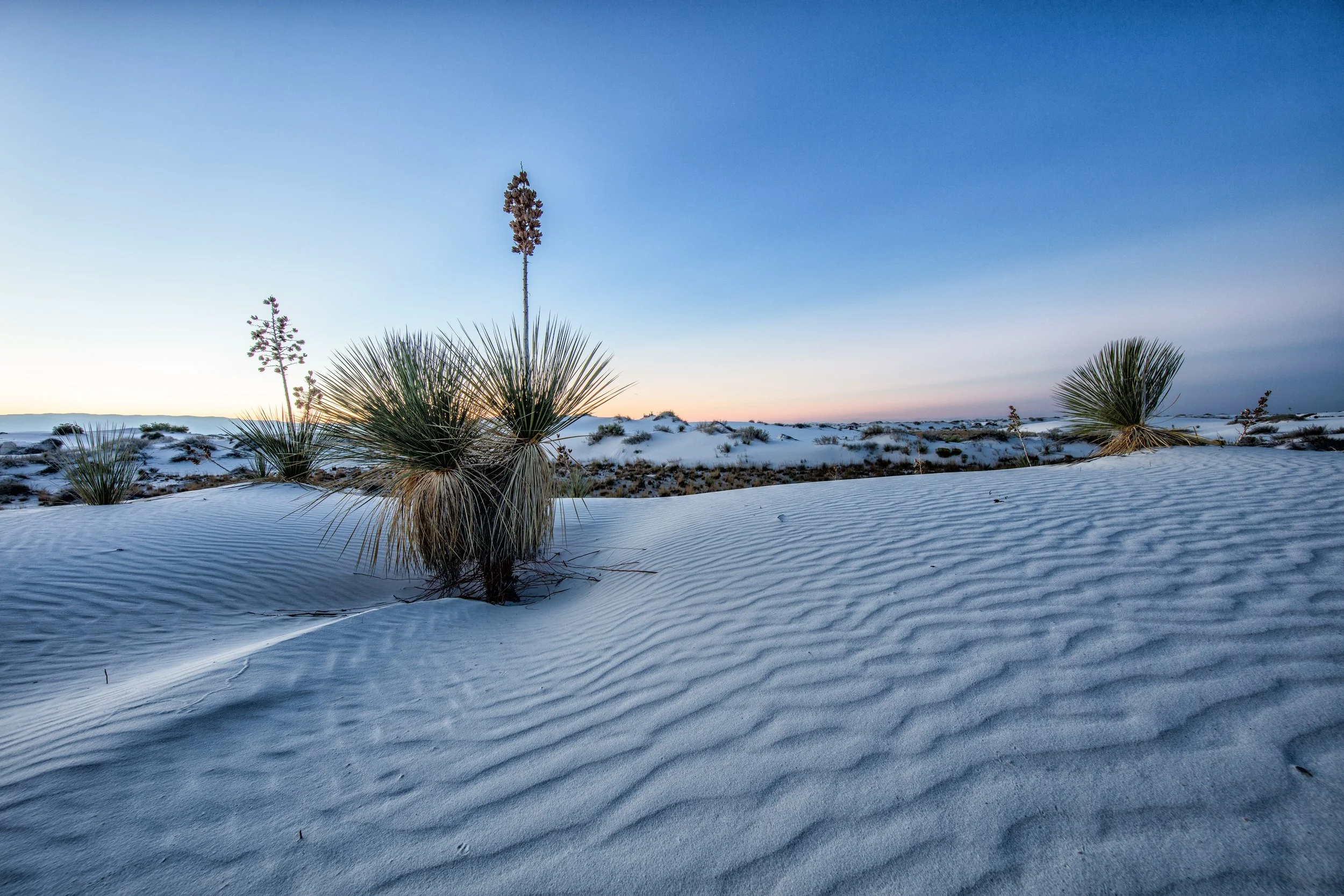 untitled shoot-196.jpg