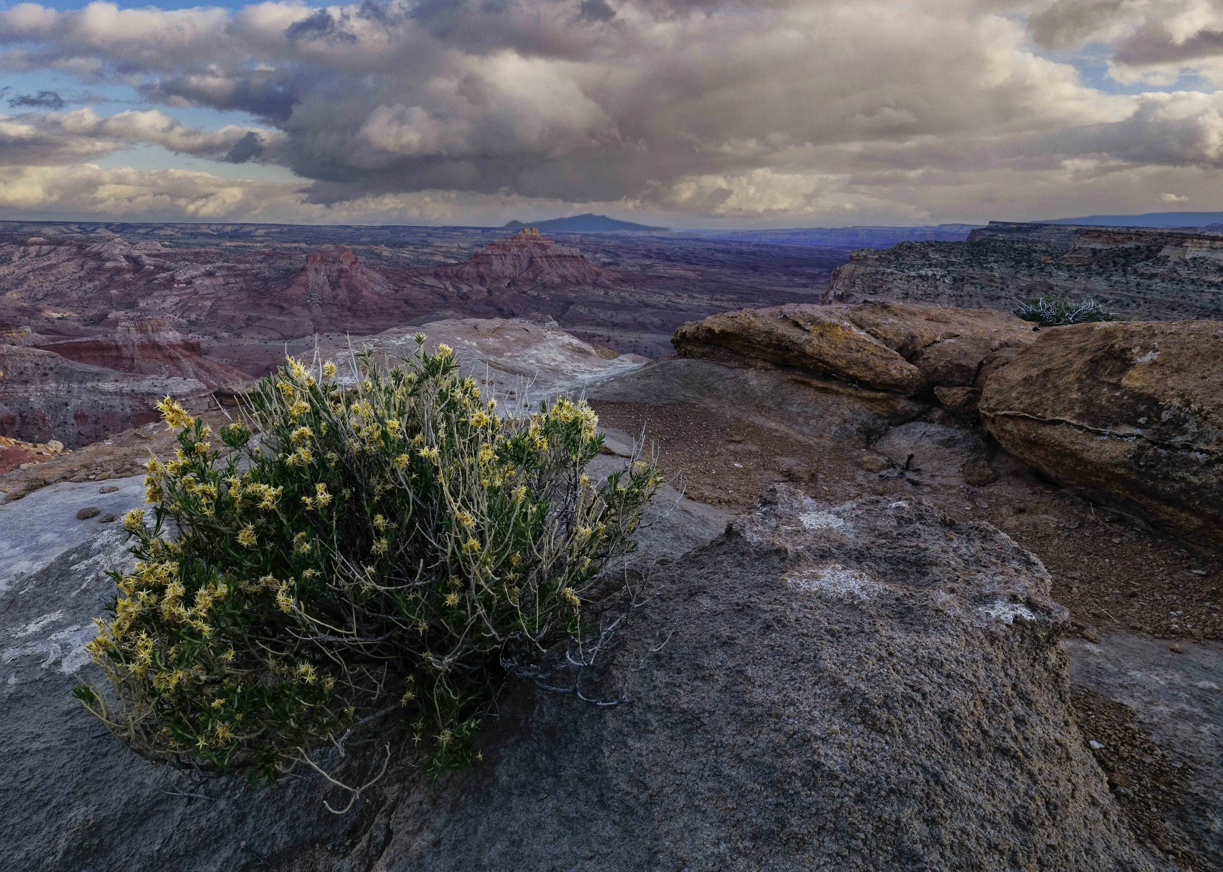 20260506-Muench Canyonlands 2026-20-Edit-Edit.jpg