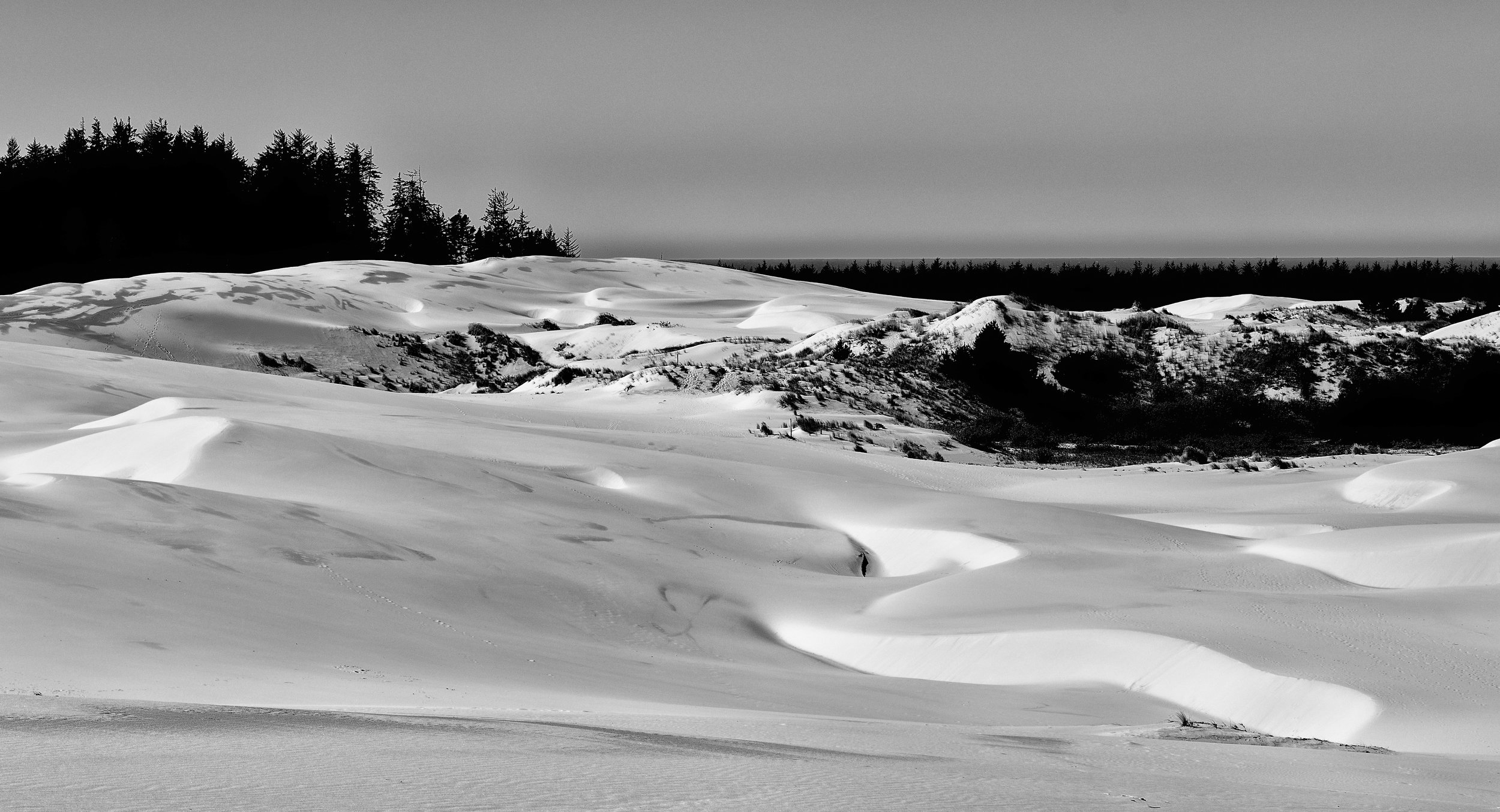 20251010-_MG_9188-Edit.jpg