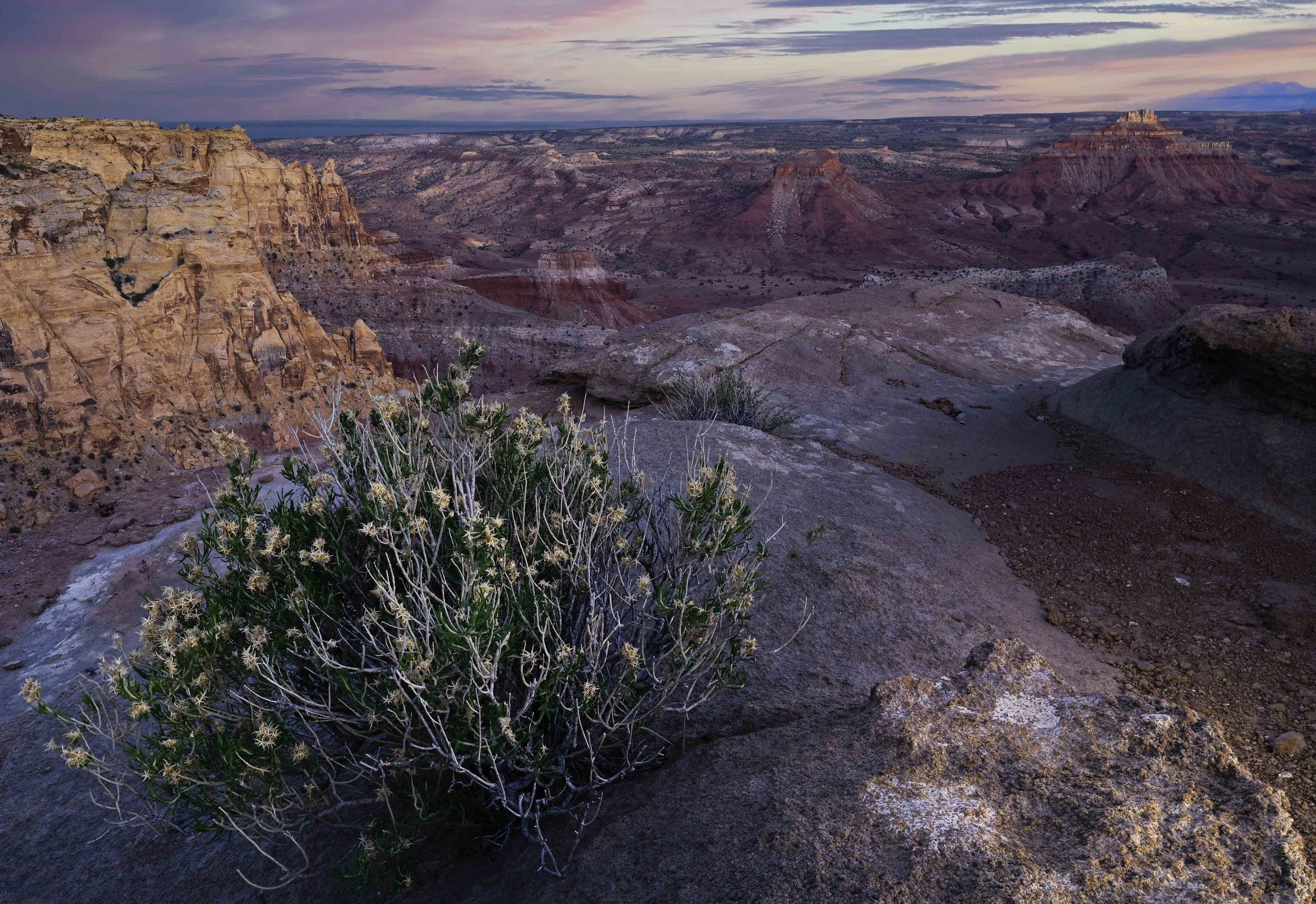 20260506-Muench Canyonlands 2026-34-Edit.jpg